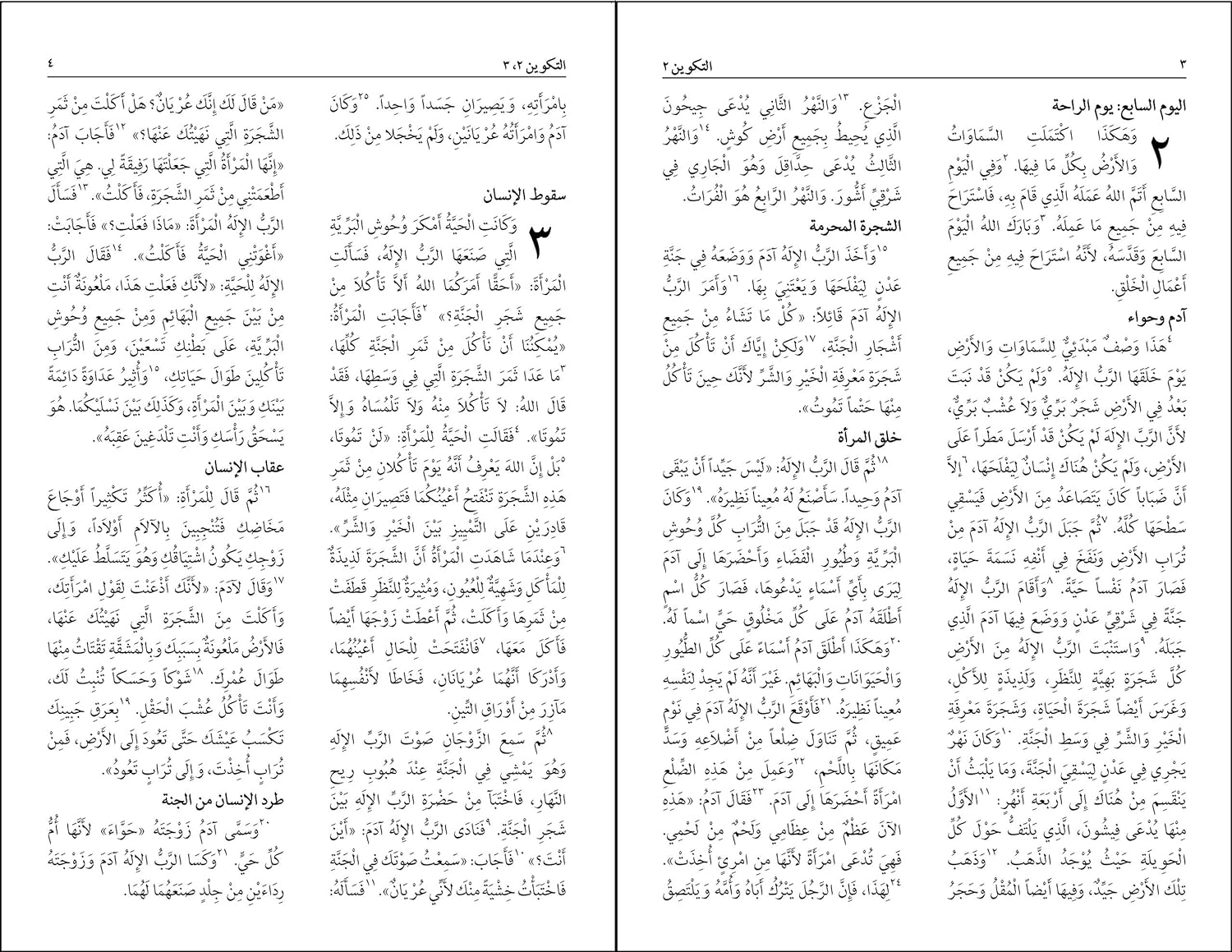 Nav Arabic Large Print Bible (Black Letter Edition)