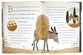 The Donkey Who Carried a King