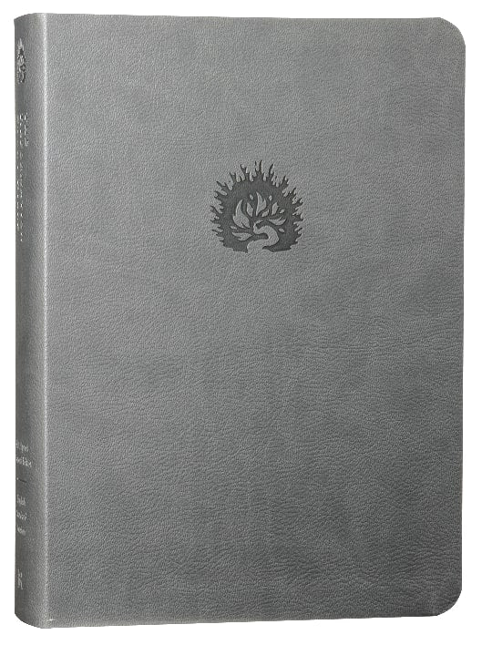 ESV the Reformation Study Bible Light Gray