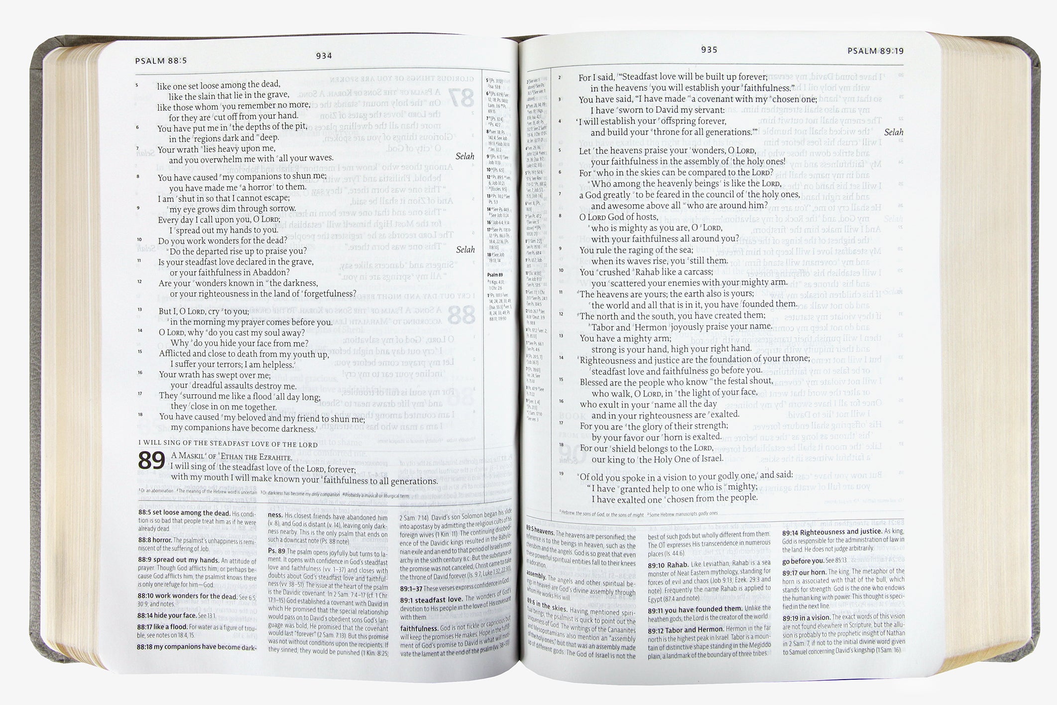 ESV the Reformation Study Bible Light Gray