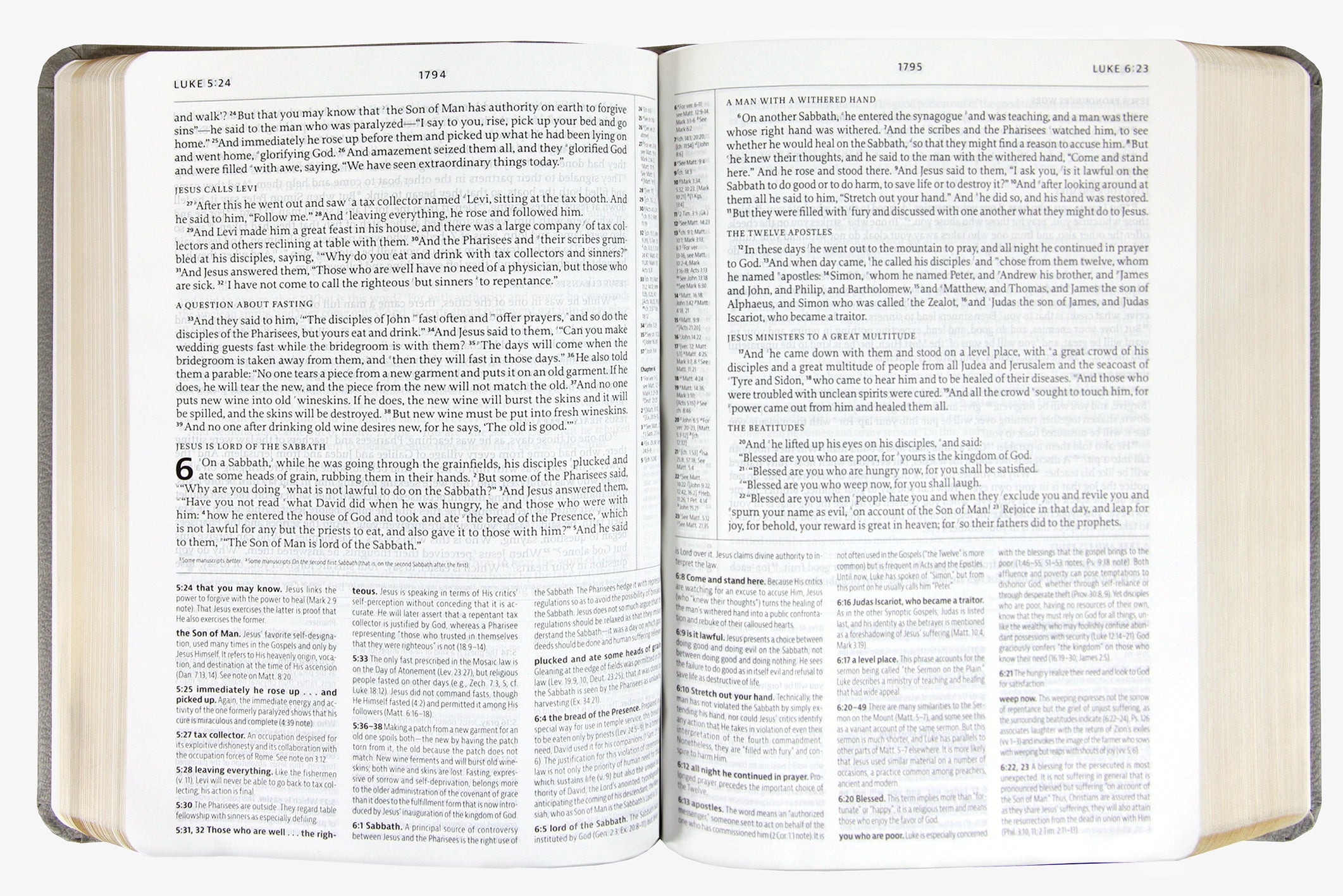 ESV the Reformation Study Bible Light Gray