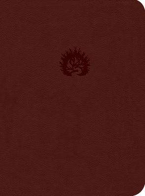 ESV Reformation Study Bible Brick Red