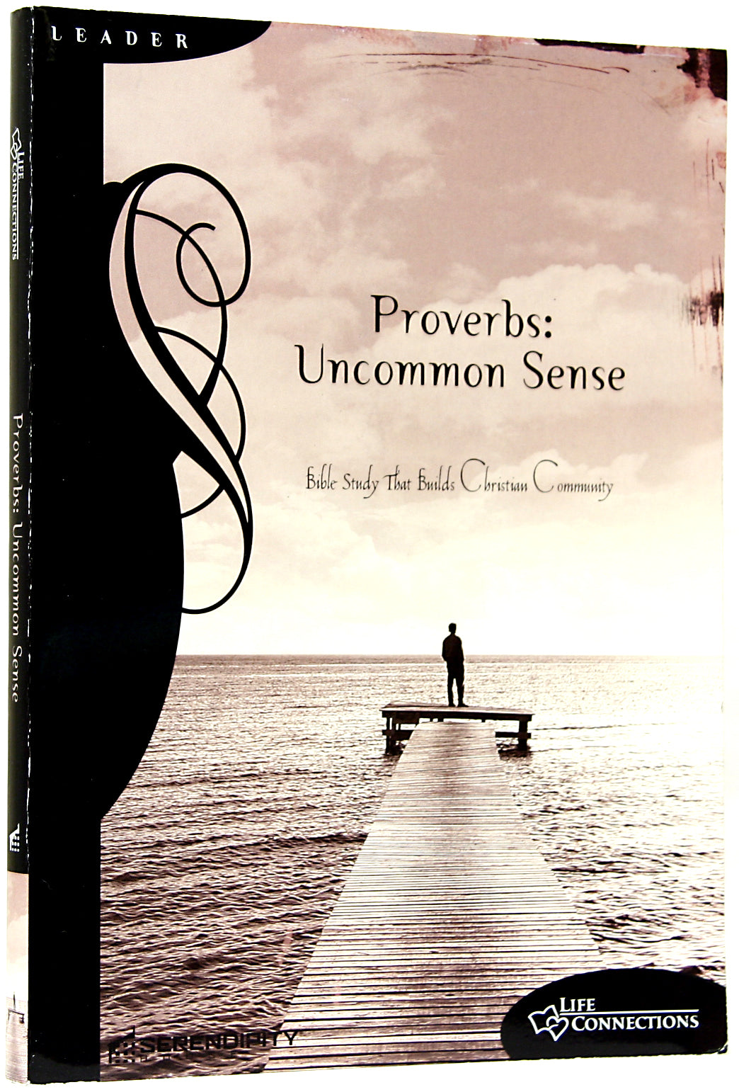 Proverbs (Leader's Guide) (Life Connections Series)