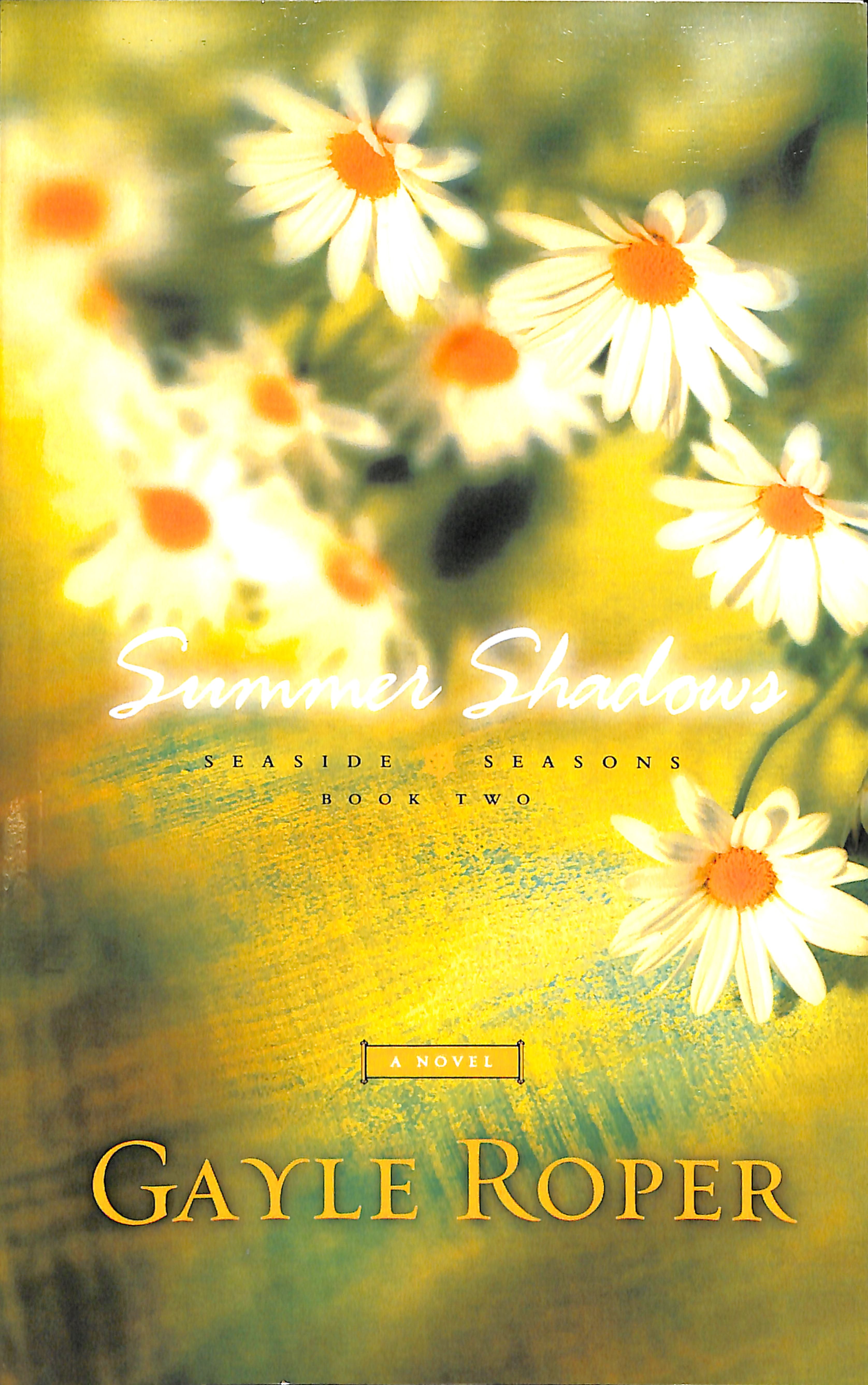 Summer Shadows (#02 in Seaside Seasons Series)