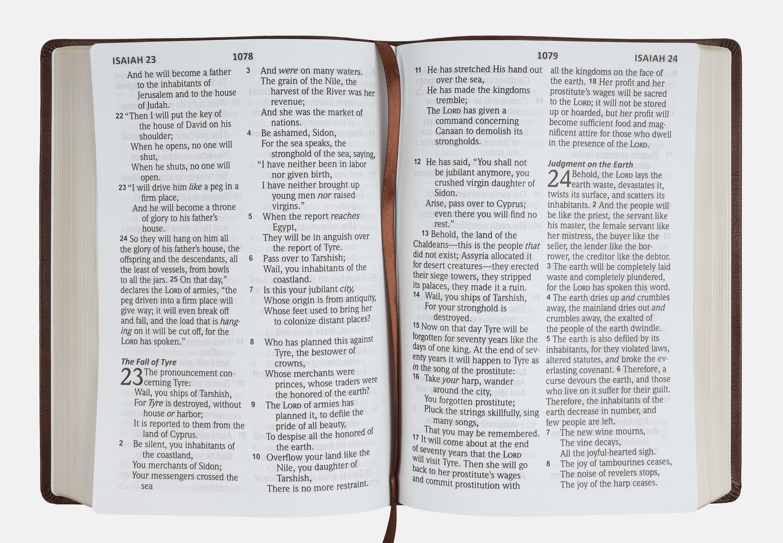 NASB 2020 Giant Print Bible Maroon