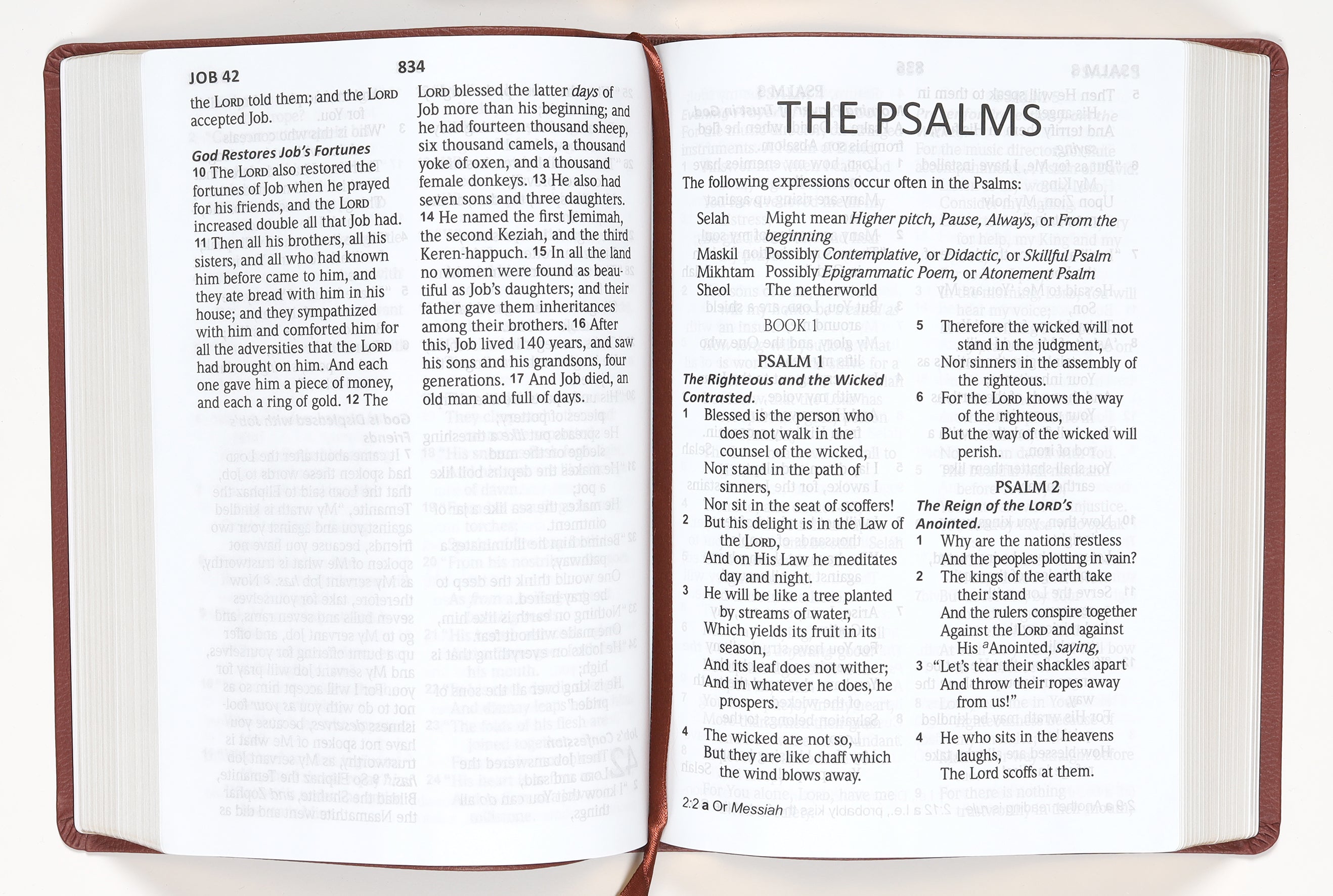 NASB 2020 Giant Print Bible Maroon