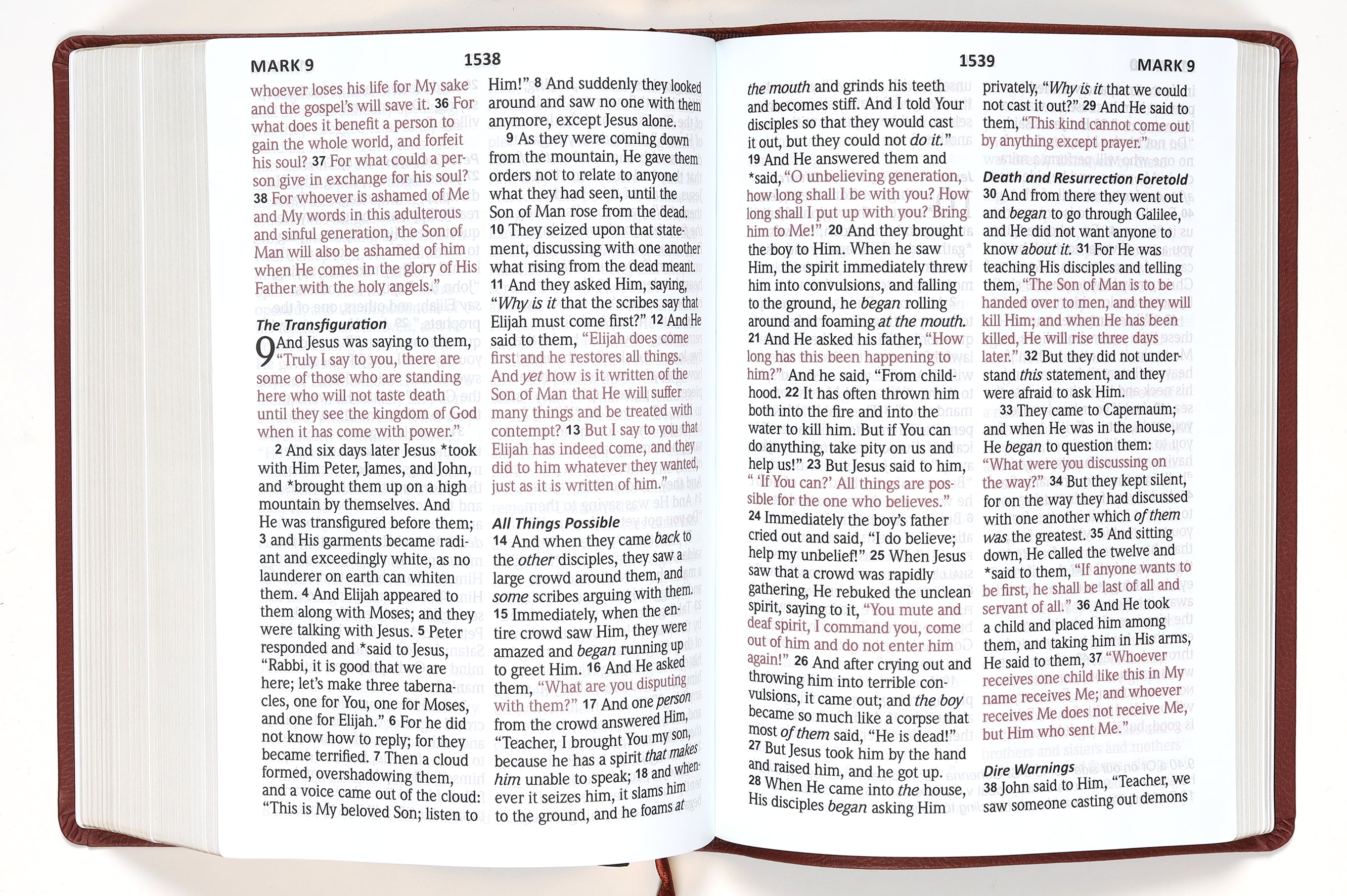NASB 2020 Giant Print Bible Maroon