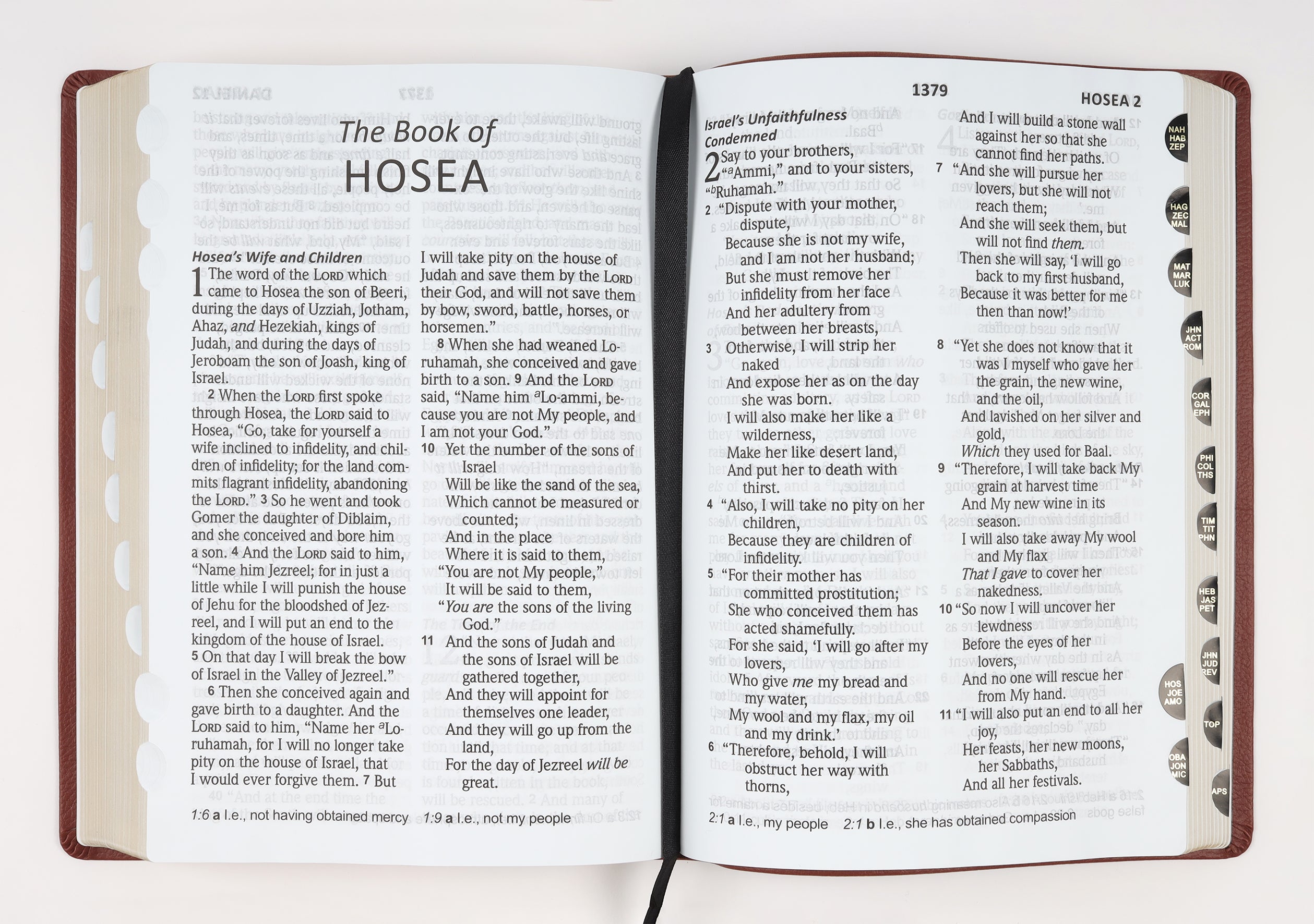 NASB 2020 Giant Print Bible Maroon Indexed
