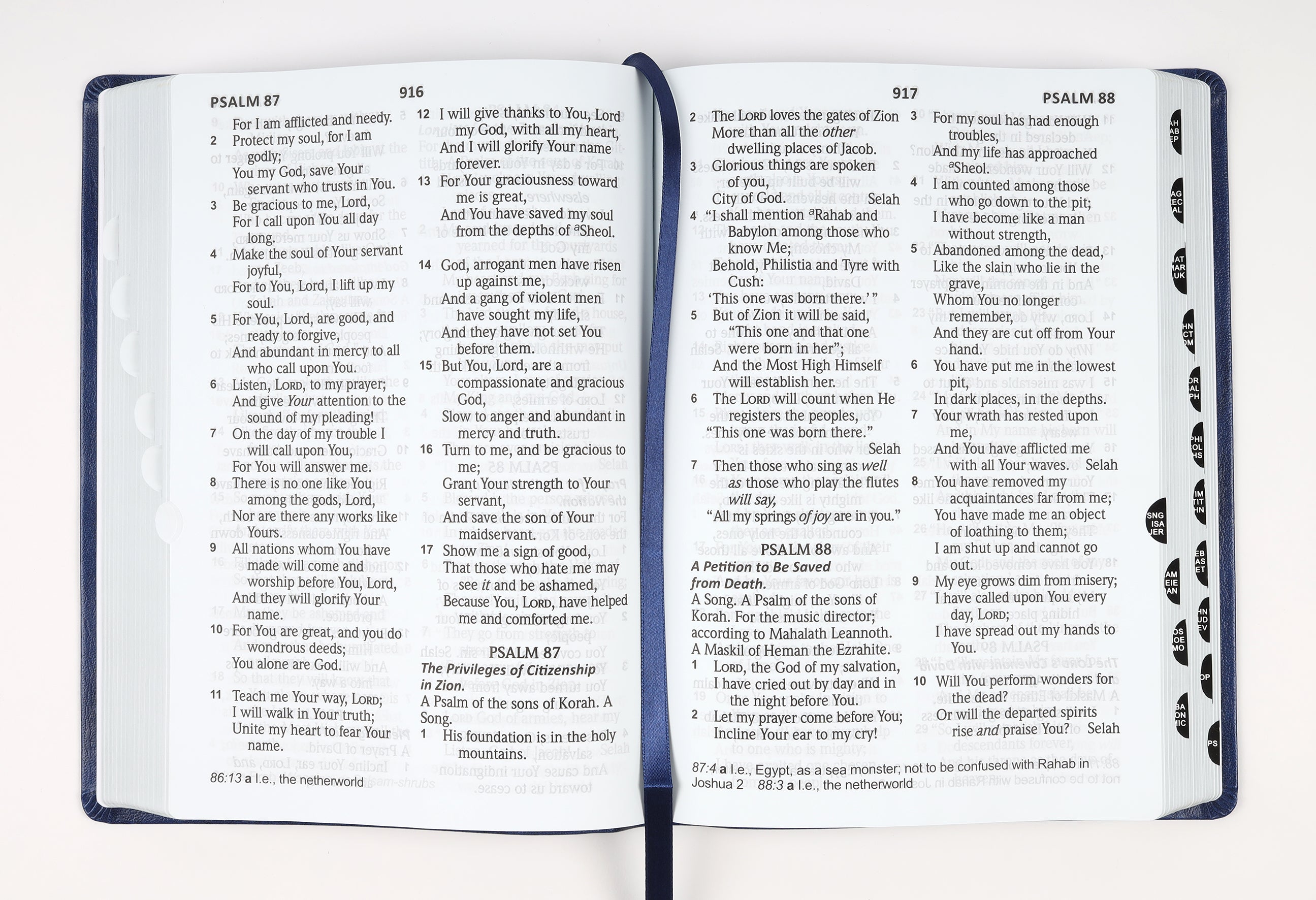 NASB 2020 Giant Print Bible Blue Indexed
