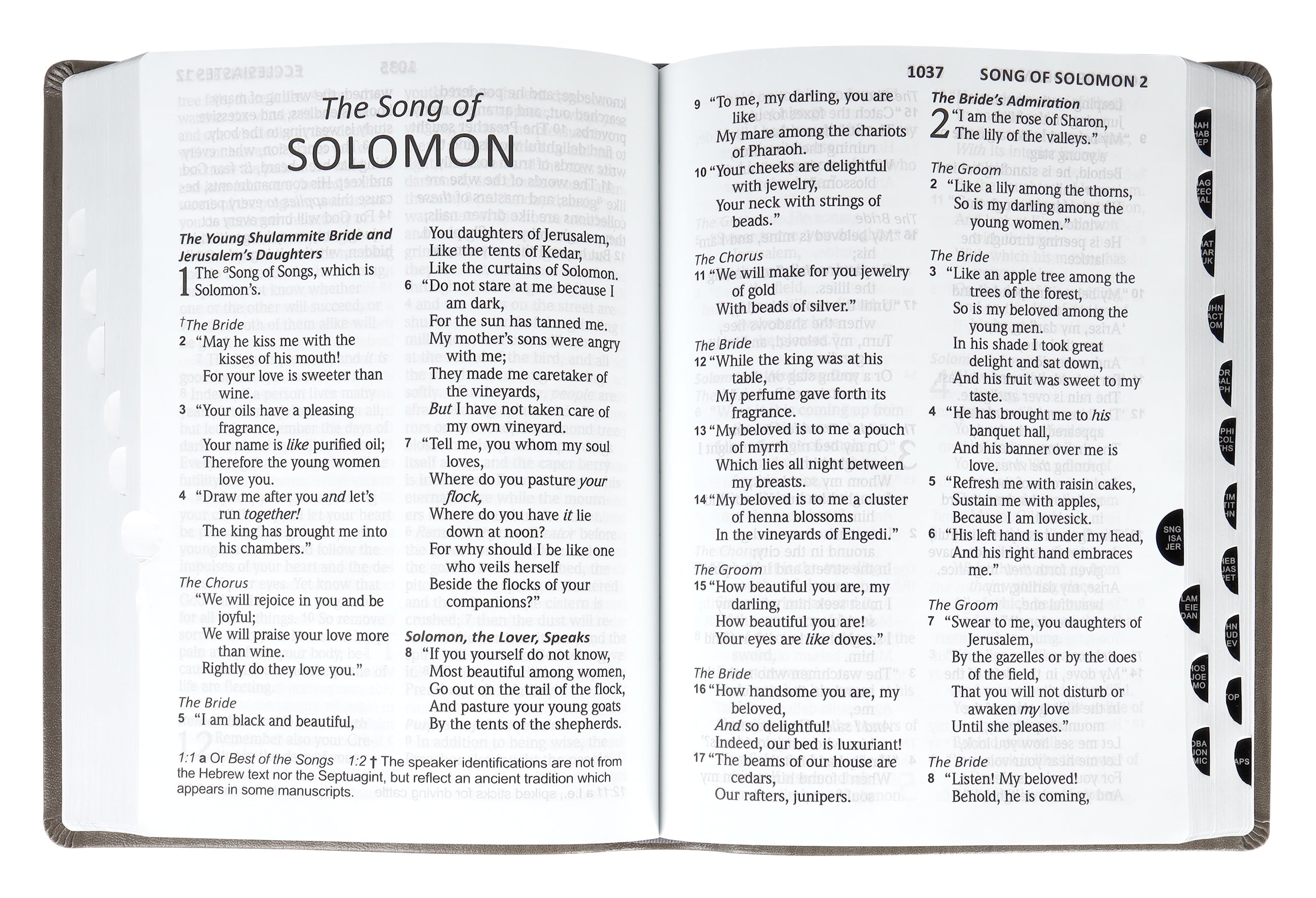 NASB 2020 Giant Print Bible Grey Indexed