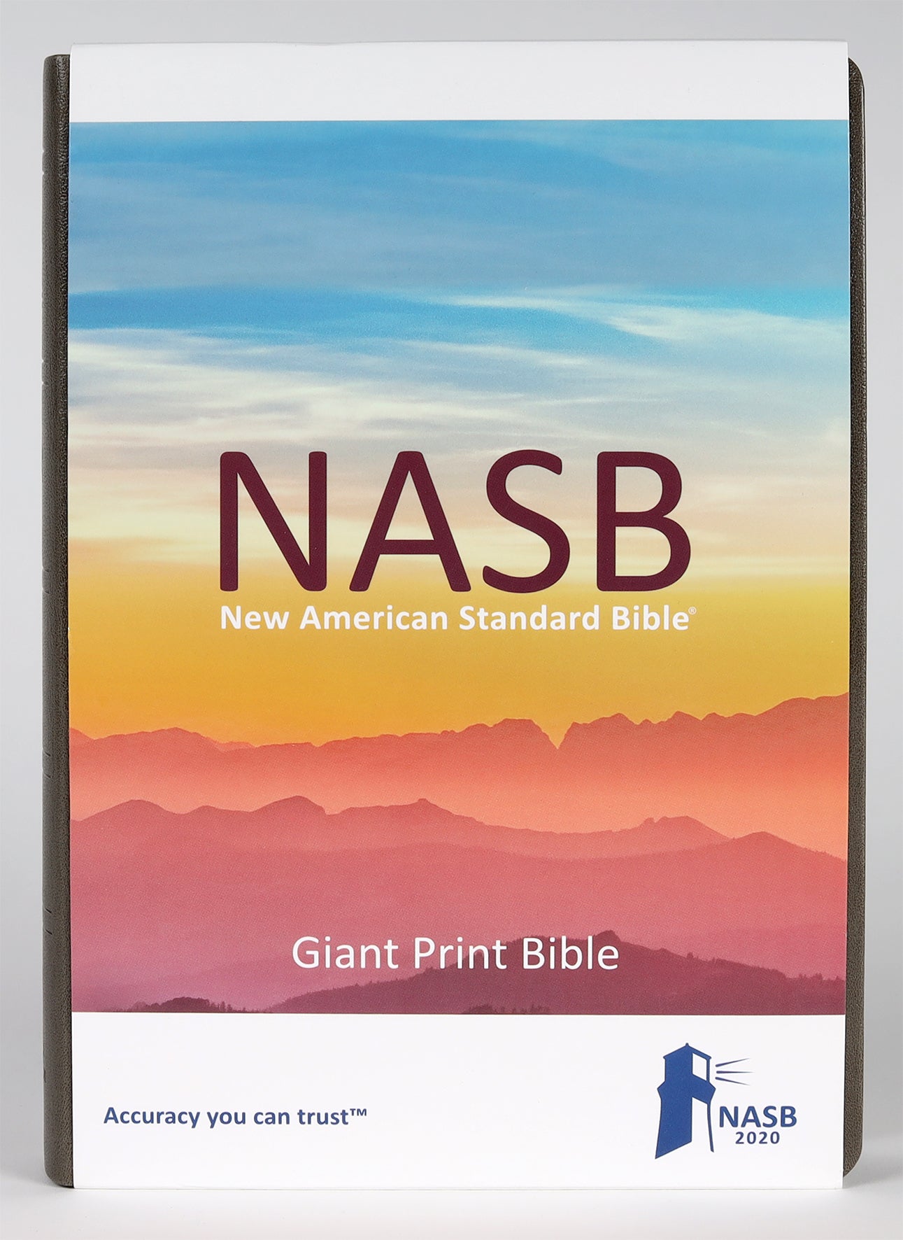 NASB 2020 Giant Print Bible Grey Indexed
