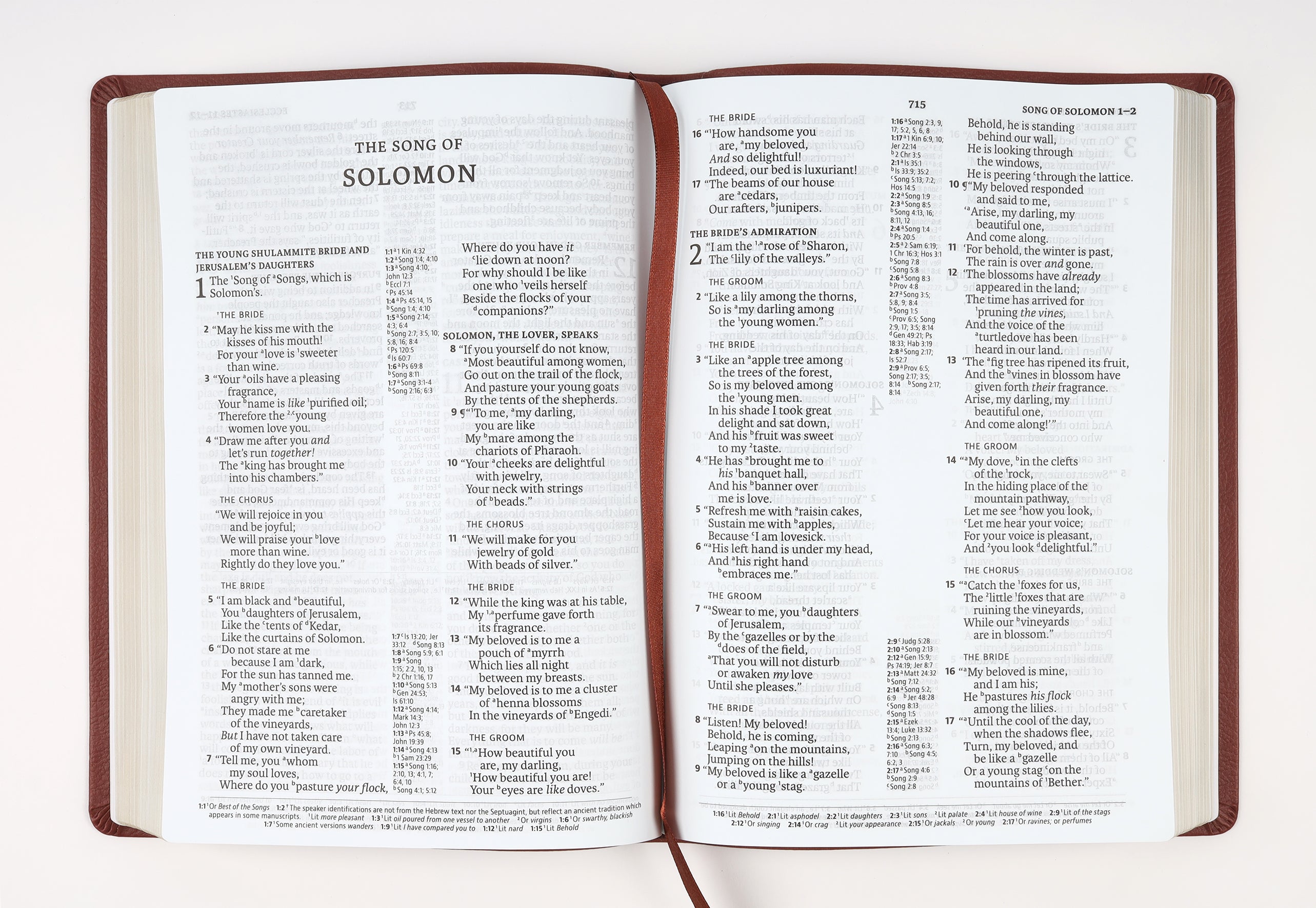 NASB 2020 Large Print Ultrathin Reference Bible Maroon