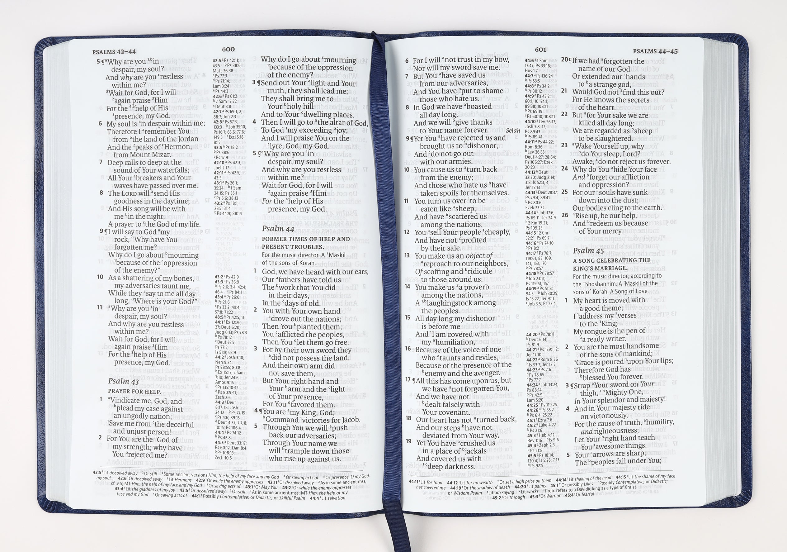 NASB 2020 Large Print Ultrathin Reference Bible Blue