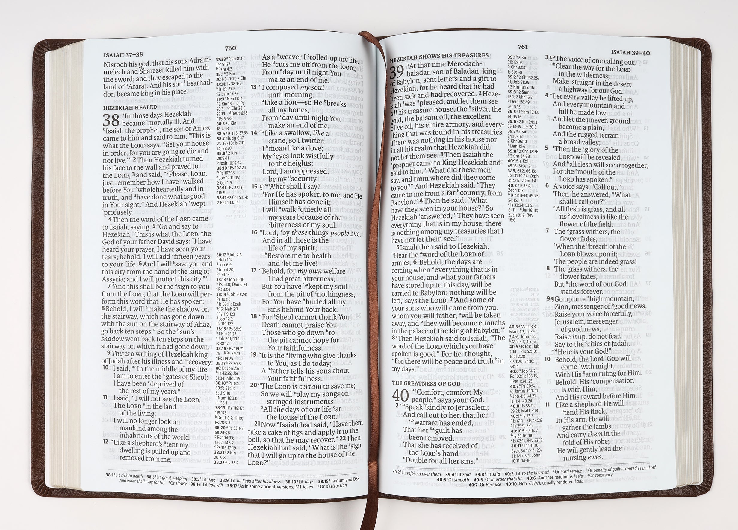 NASB 2020 Large Print Ultrathin Reference Bible Brown