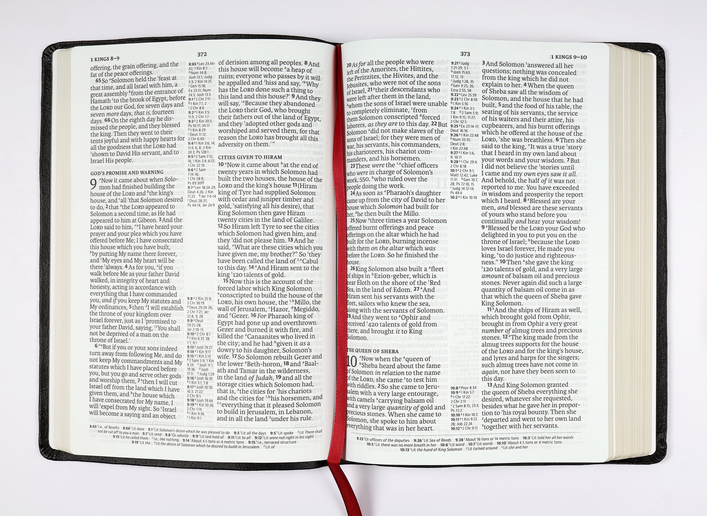 NASB 2020 Large Print Ultrathin Reference Bible Black