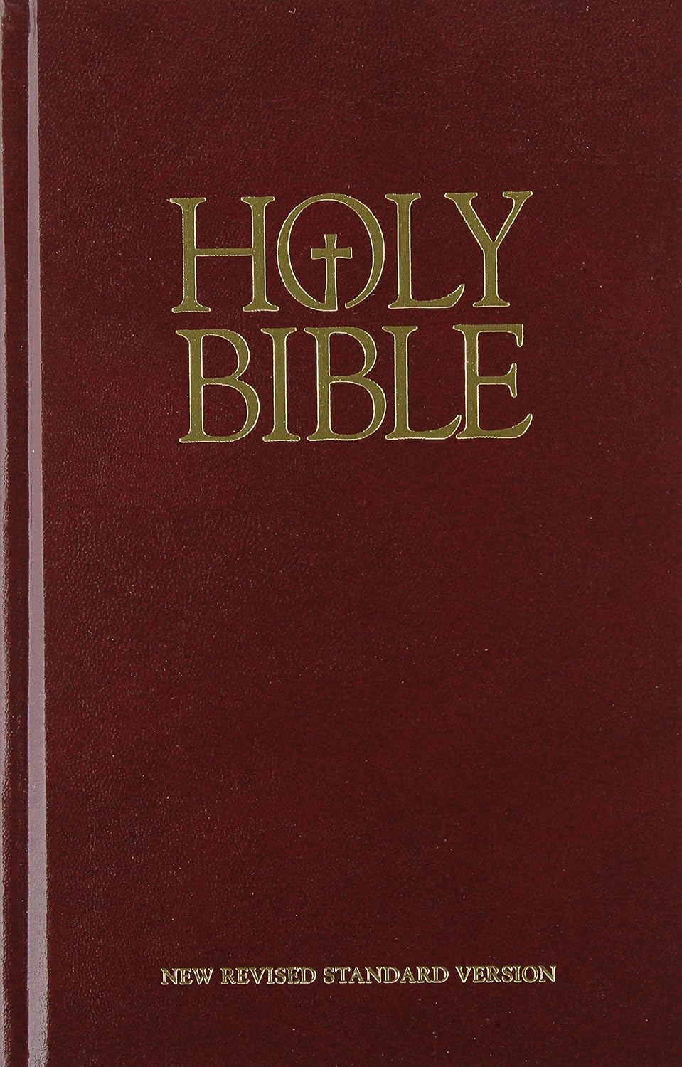 NRSV Everyday Bible