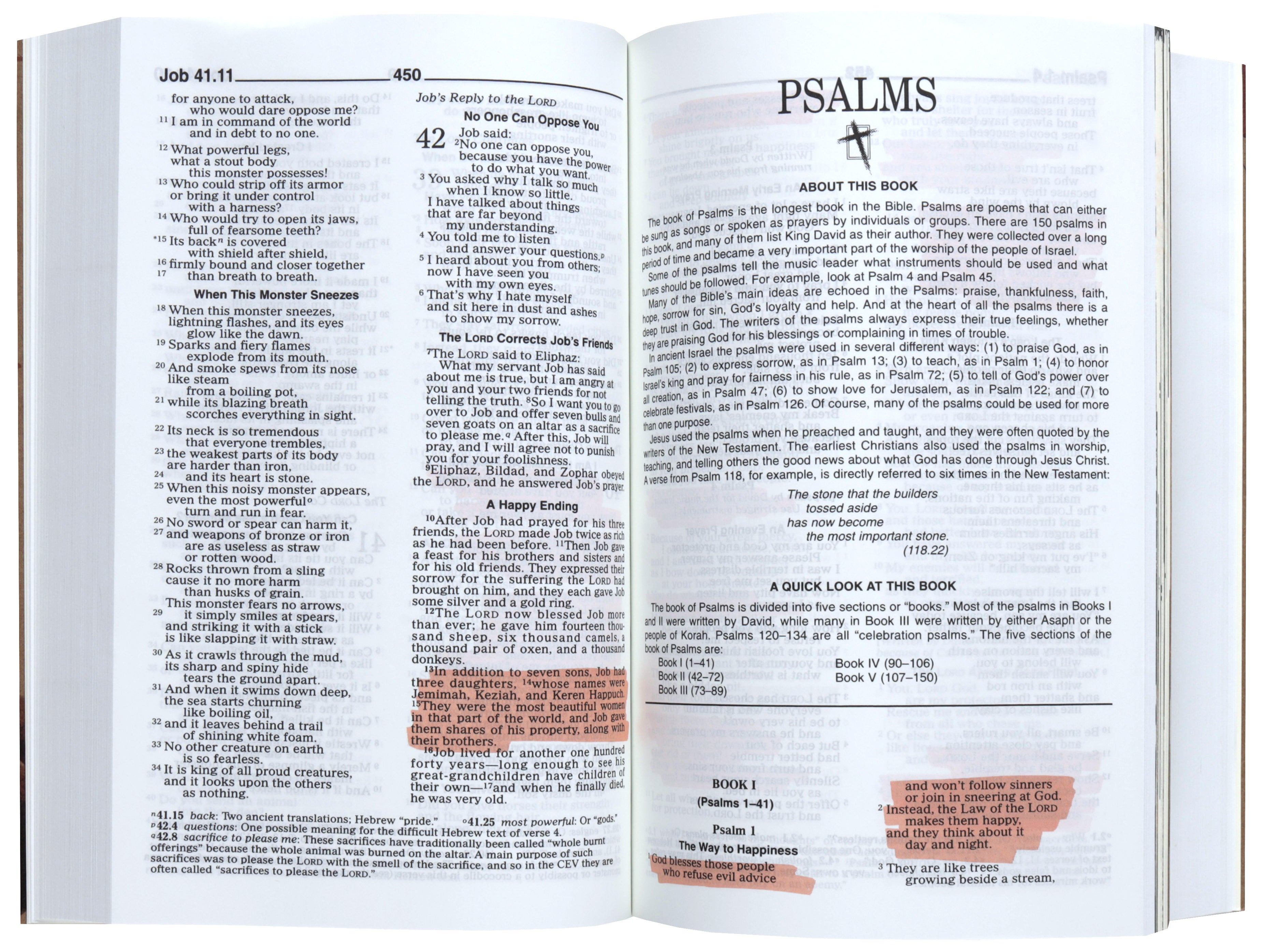 CEV Poverty & Justice Bible