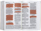 CEV Poverty & Justice Bible