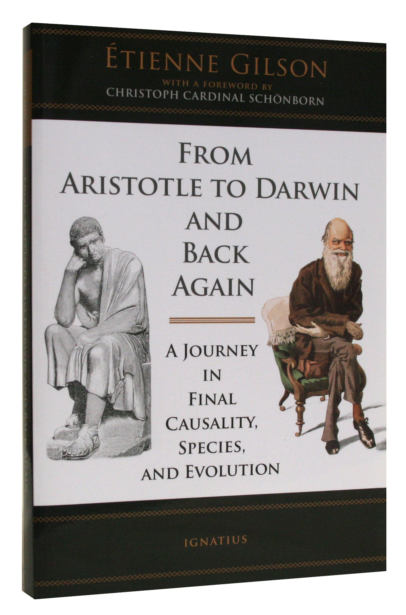 From Aristotle to Darwin and Back