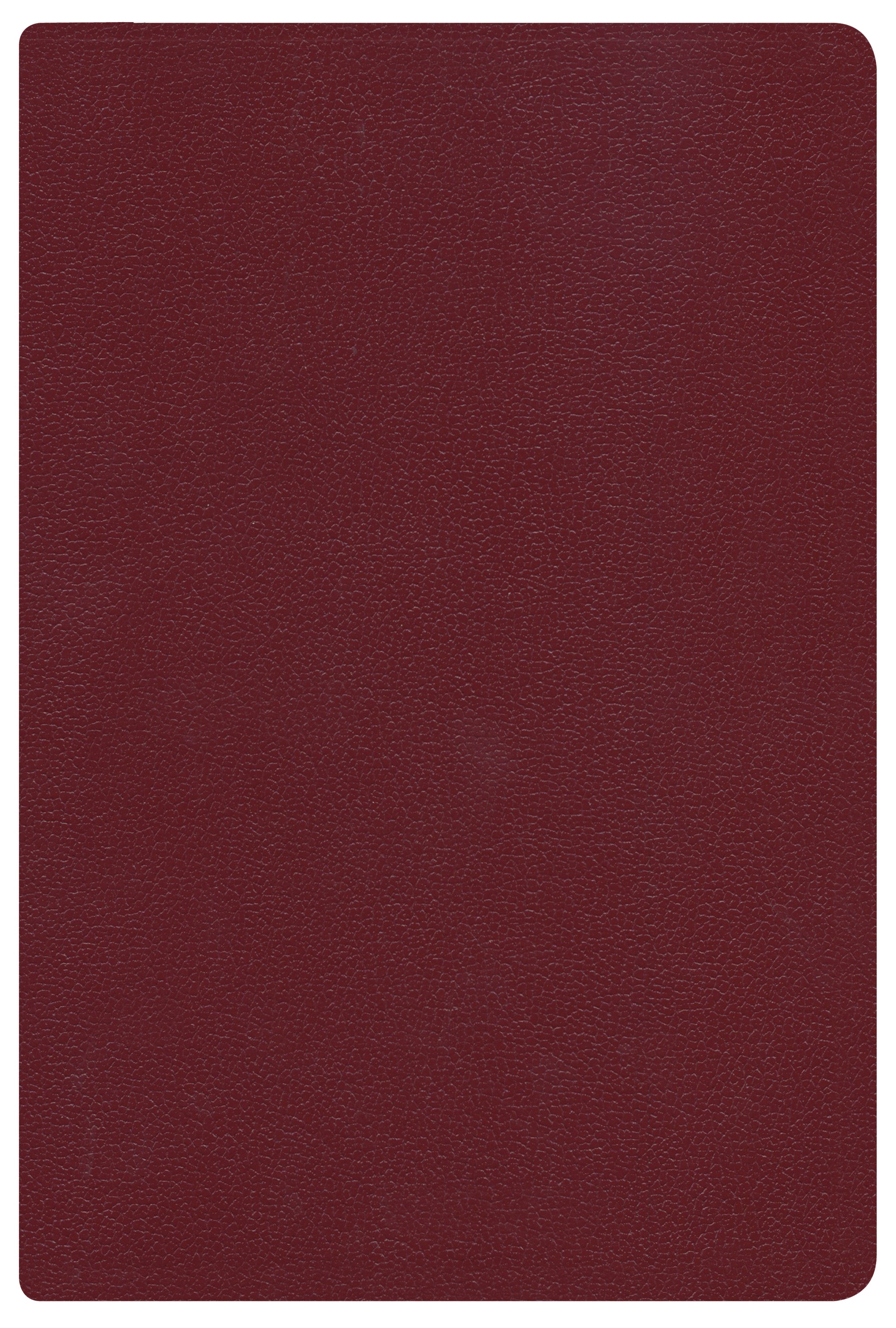 Rvr 1960 Biblia Letra Grande Tamano Manual Rojizo Imitacion Piel Con Indice (Spanish Bible)