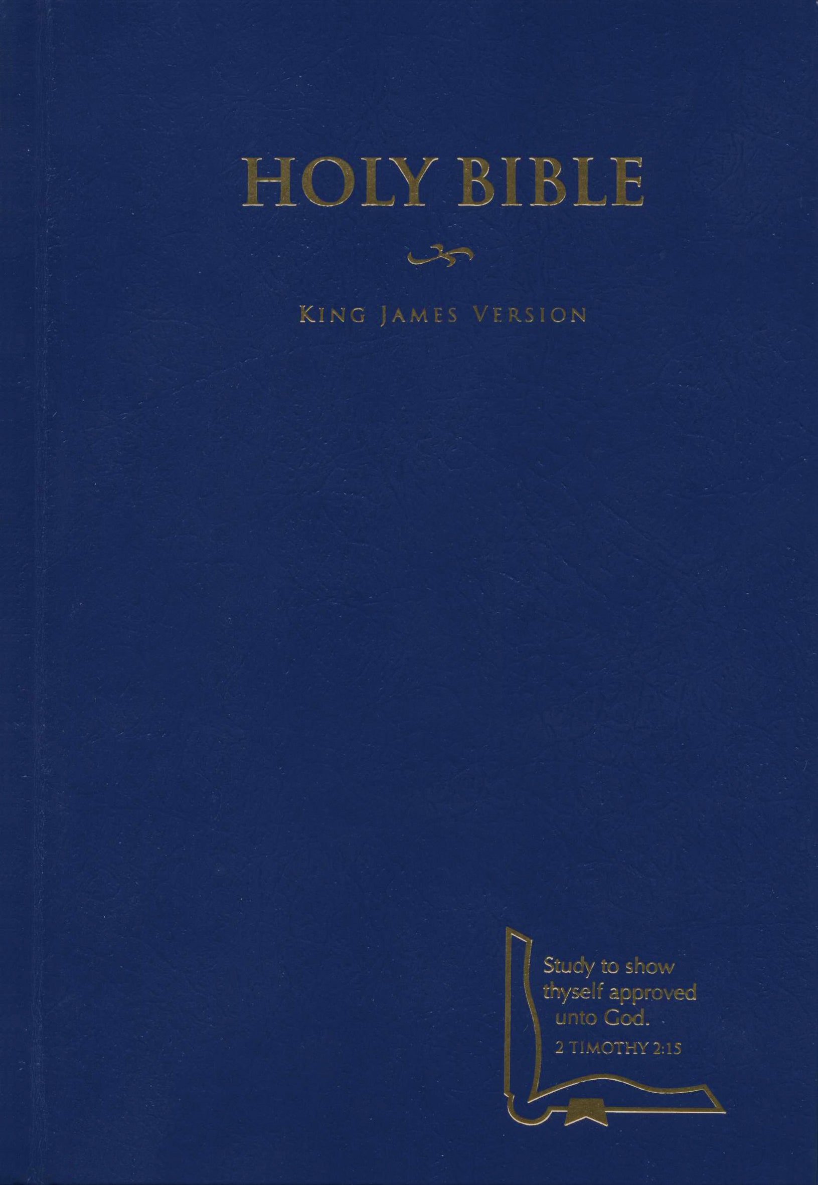 KJV Drill Bible Blue