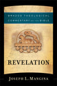 Revelation (Brazos Theological Commentary On The Bible Series)