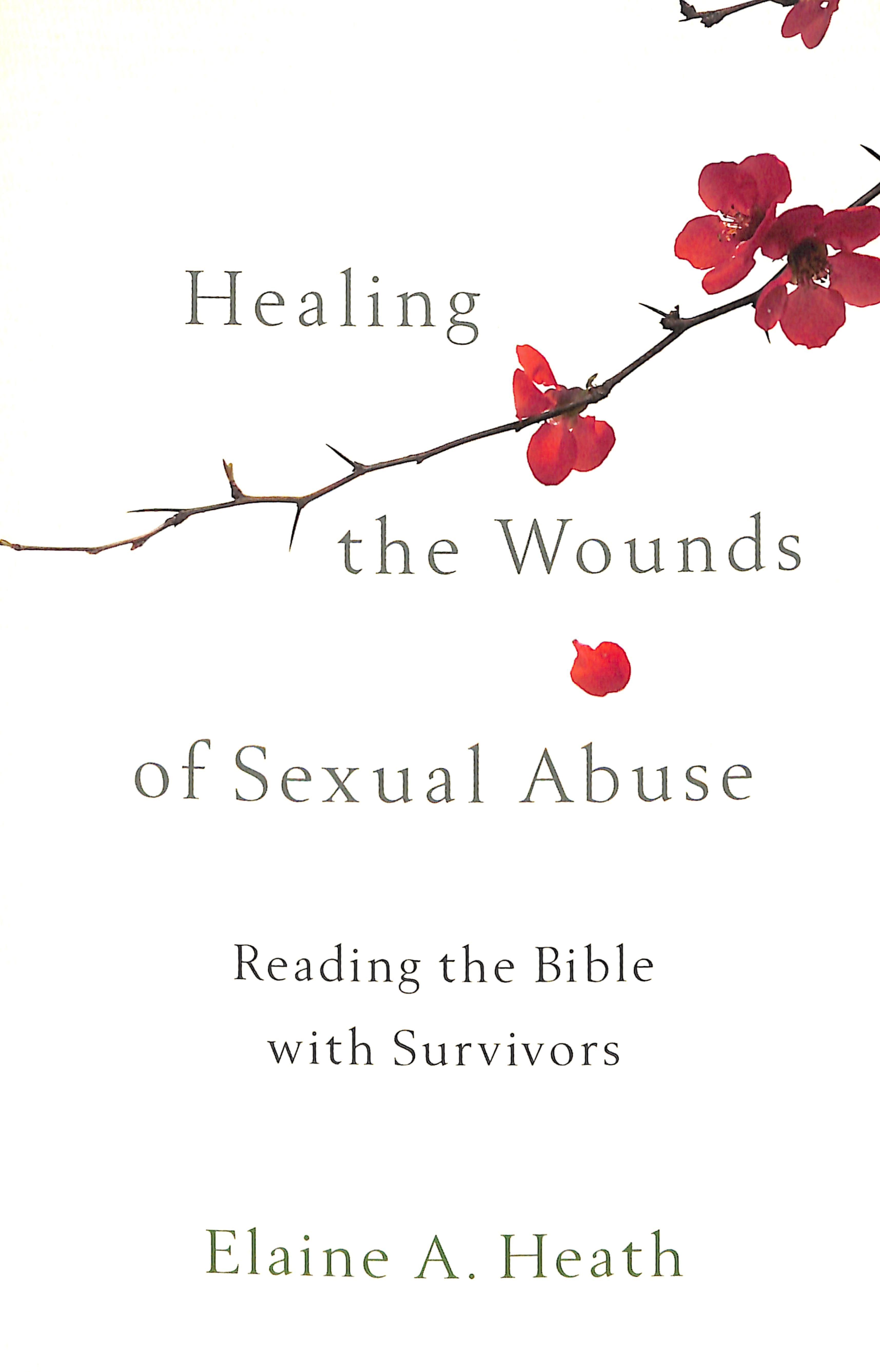 Healing the Wounds of Sexual Abuse: Reading the Bible With Survivors