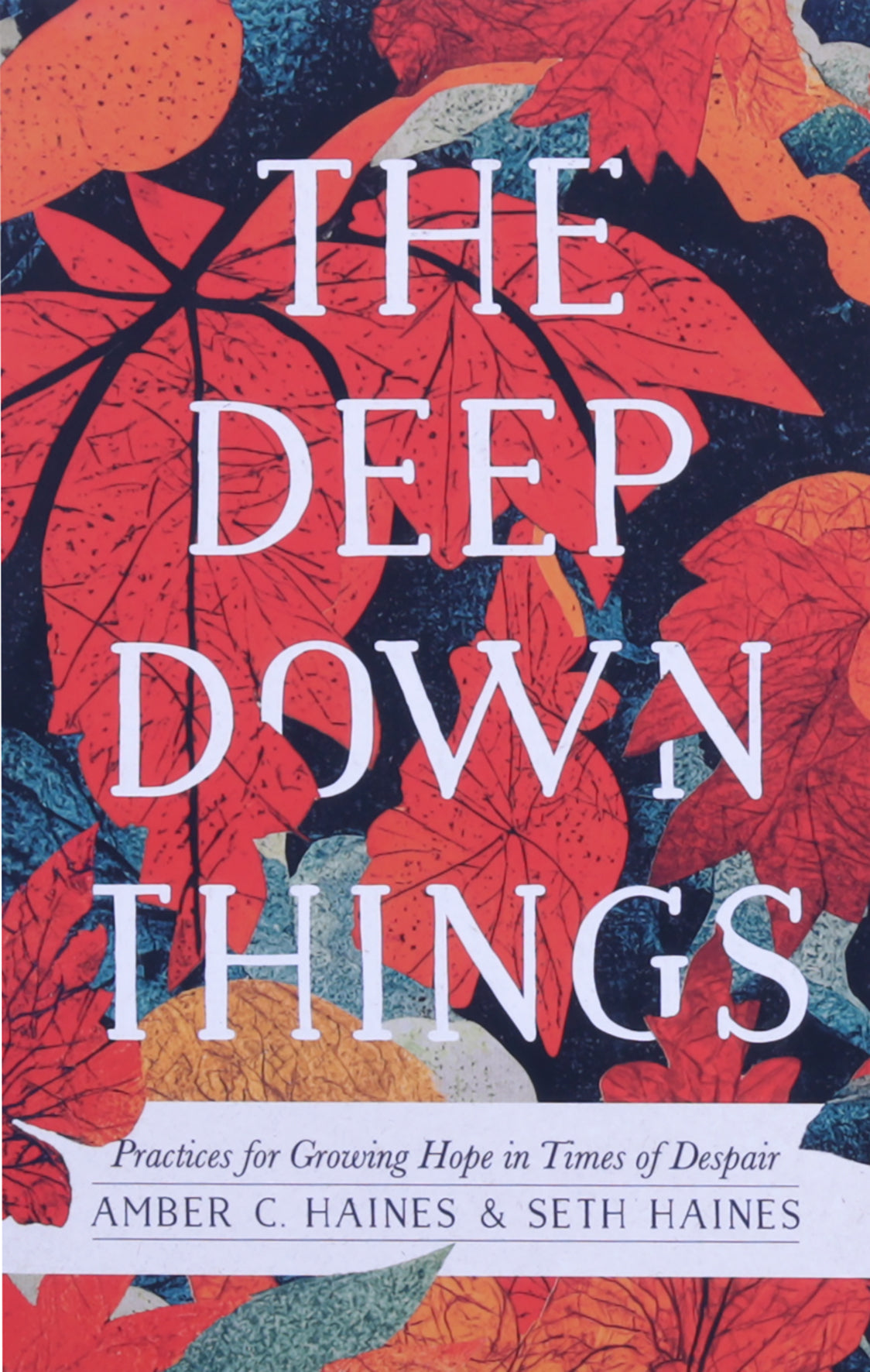 The Deep Down Things: Practices For Growing Hope in Times of Despair