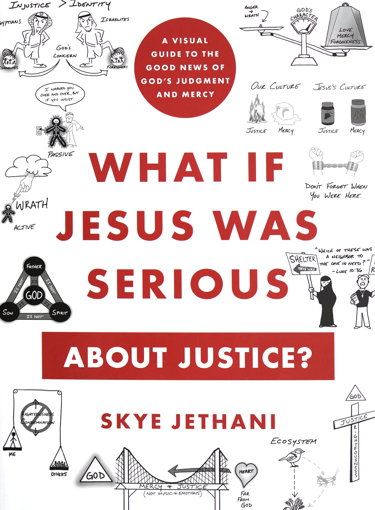 What If Jesus Was Serious about Justice?: A Visual Guide to the Good News of God's Judgment and Mercy