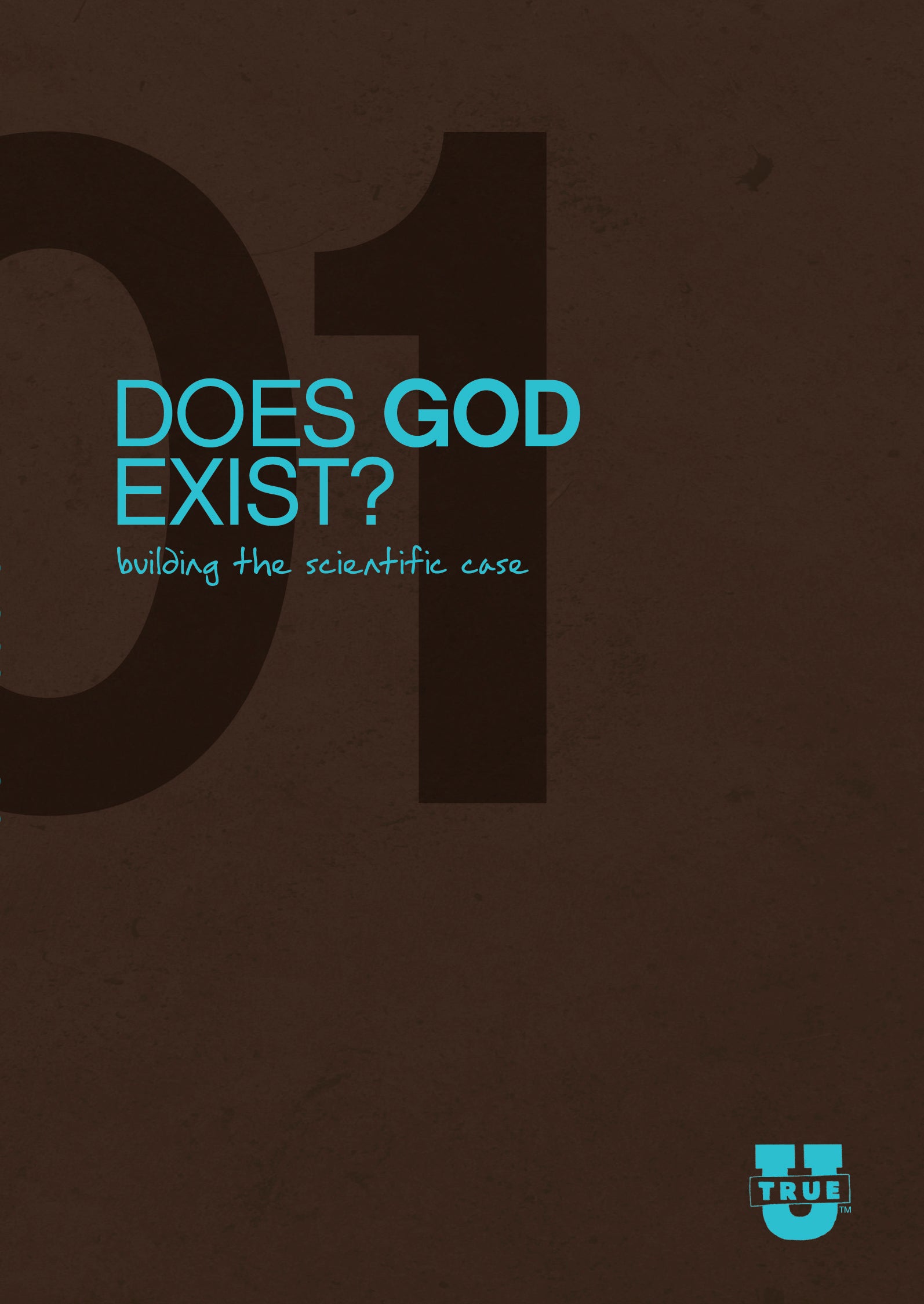 Does God Exist? Discussion Guide (#01 in True U Series)