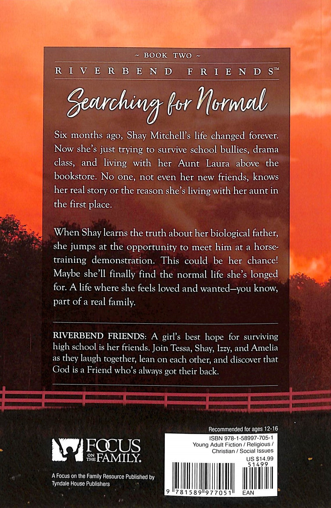 Searching For Normal (#02 in Riverbend Friends Series)