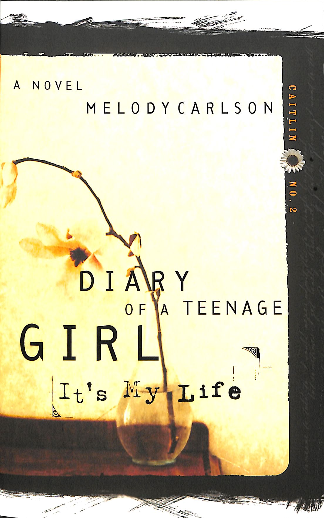 It's My Life (#02 in Diary Of A Teenage Girl: Caitlin Series)