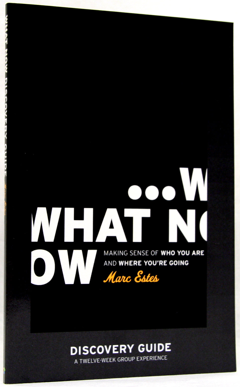 What Now (Discovery Guide)