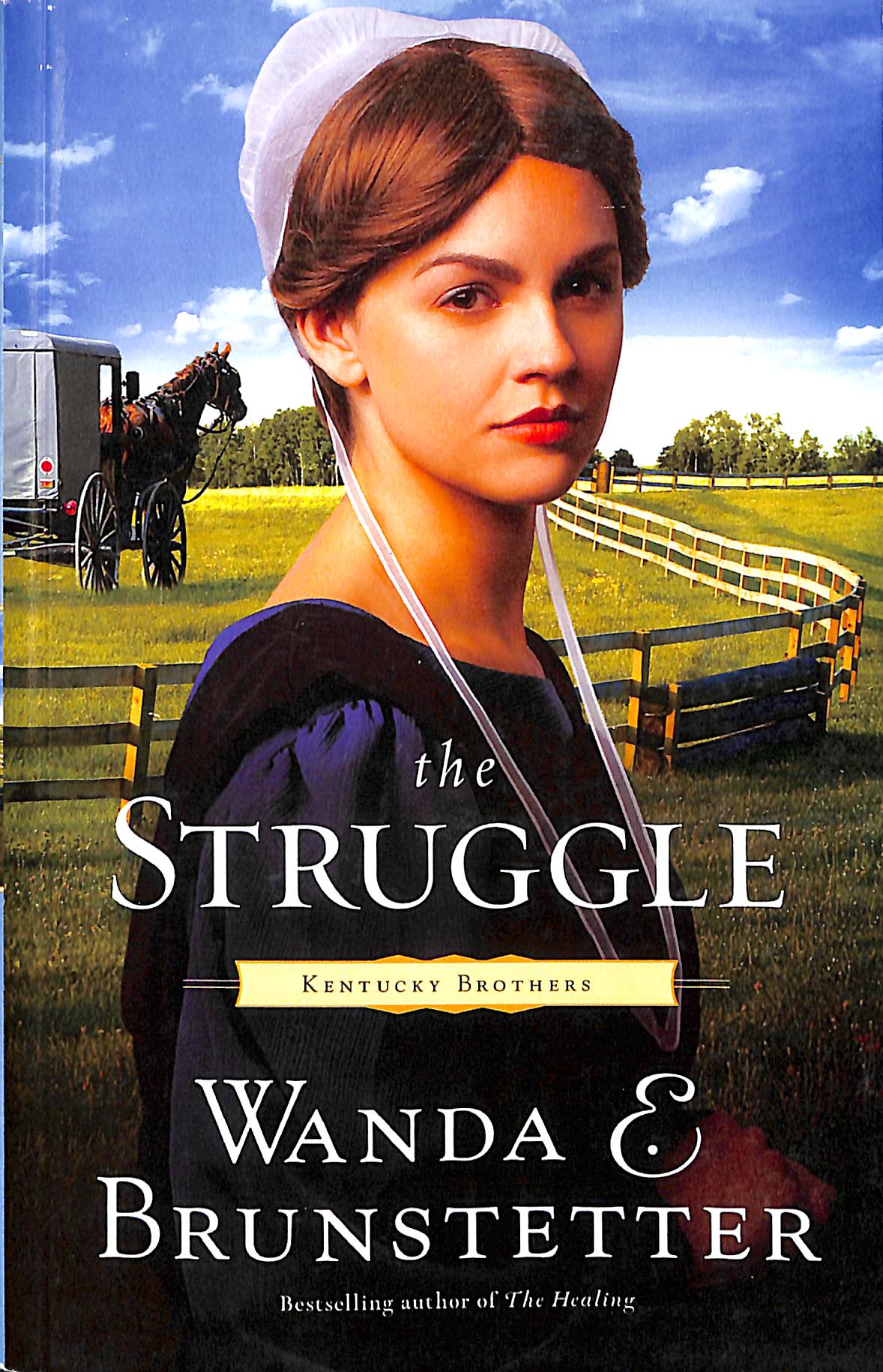 The Struggle (Large Print) (#03 in Kentucky Brothers Series)