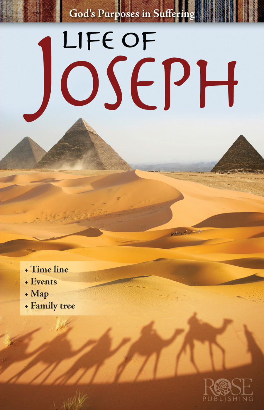 God's Purposes in Suffering: Life of Joseph (Rose Guide Series)