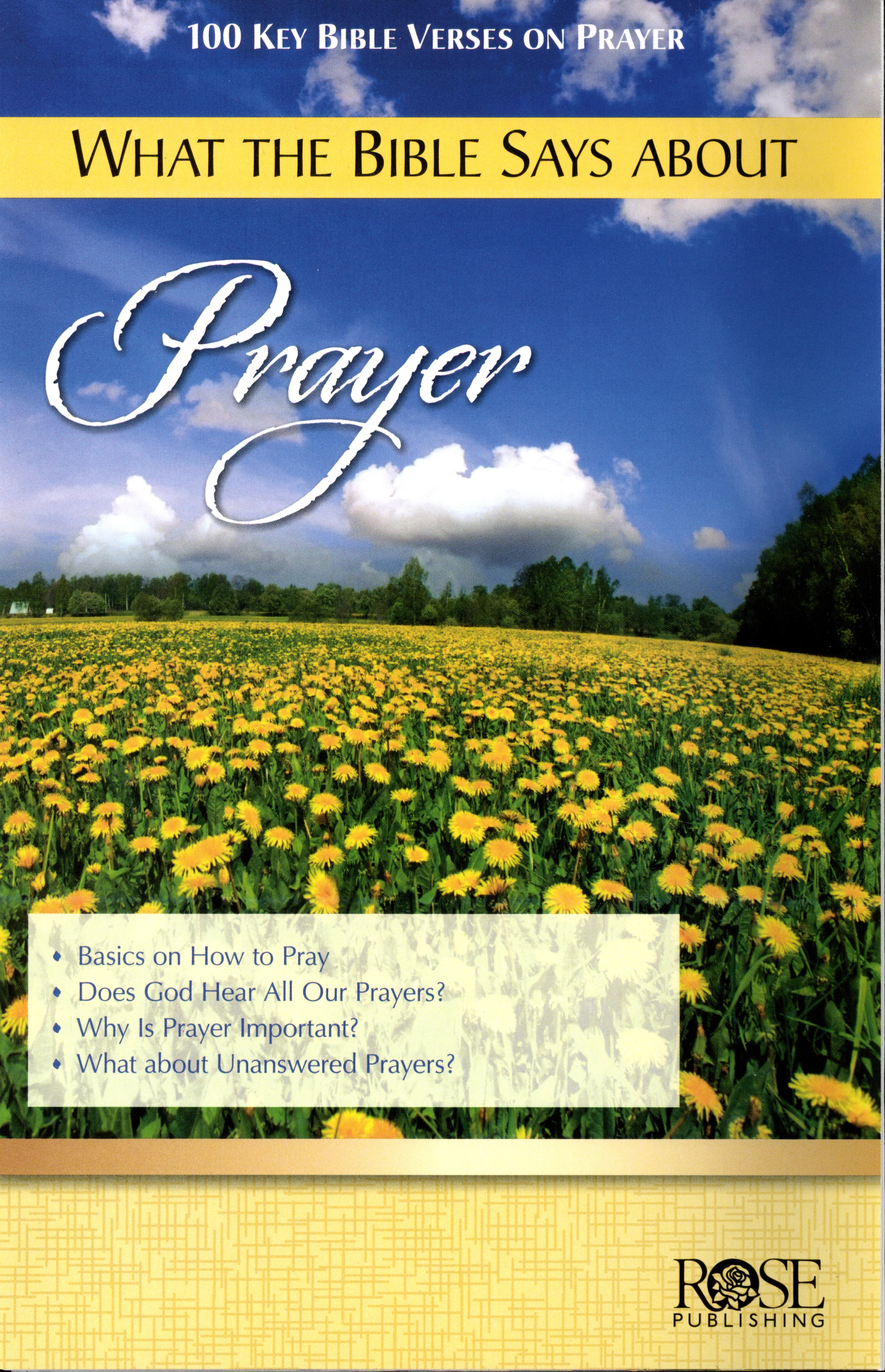 What the Bible Says About Prayer (Rose Guide Series)