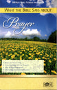 What the Bible Says About Prayer (Rose Guide Series)