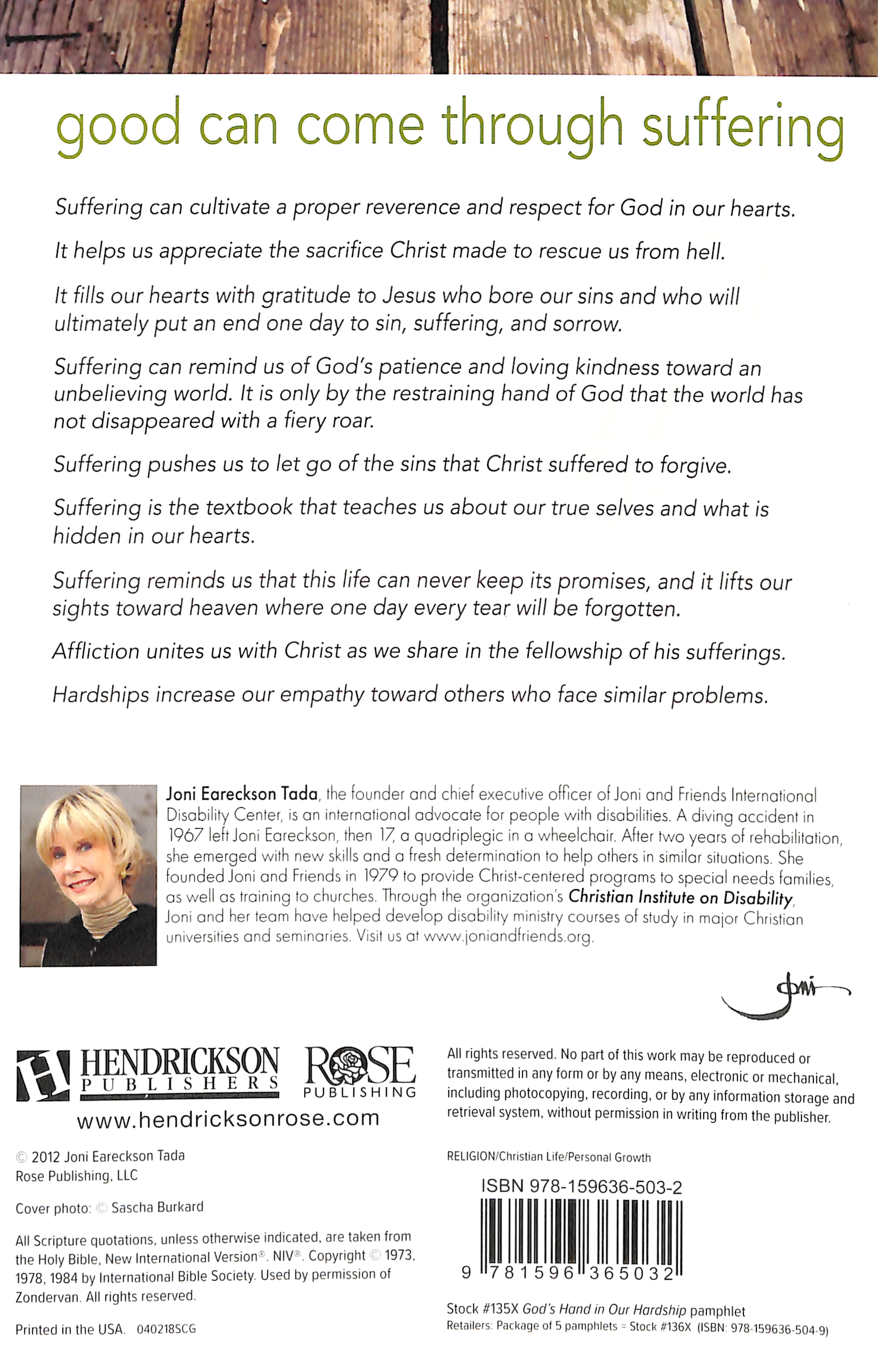God's Sovereignty: God's Hand in Our Hardship (Rose Guide Series)