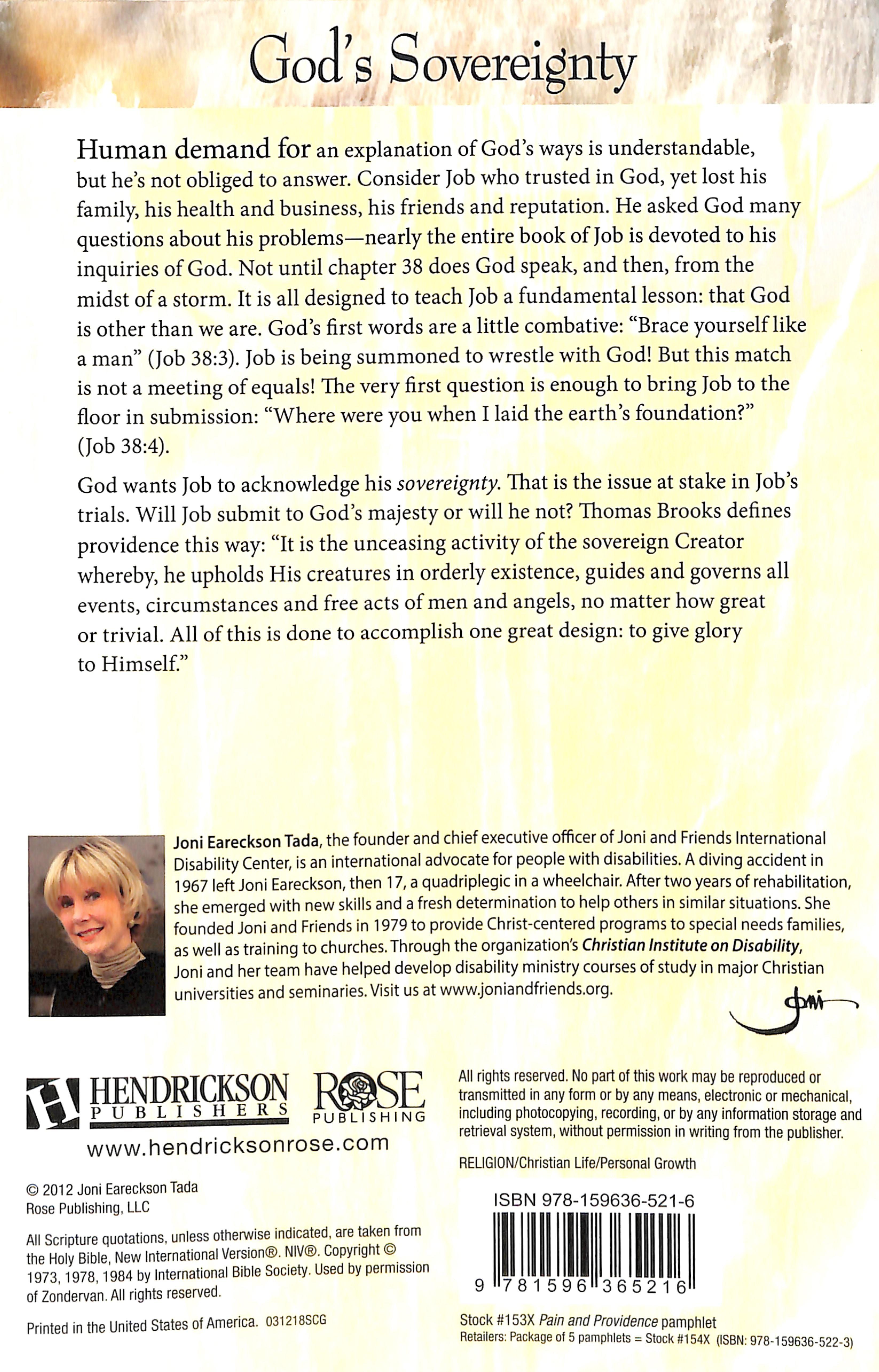 Pain and Providence: Chronic Pain and Illness (Rose Guide Series)
