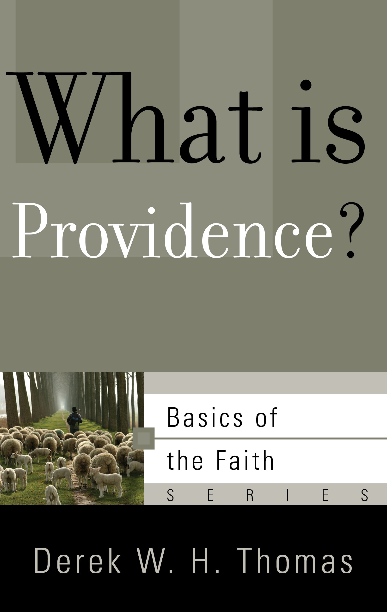 What is Providence? (Basics Of The Reformed Faith Series (Now Botf))