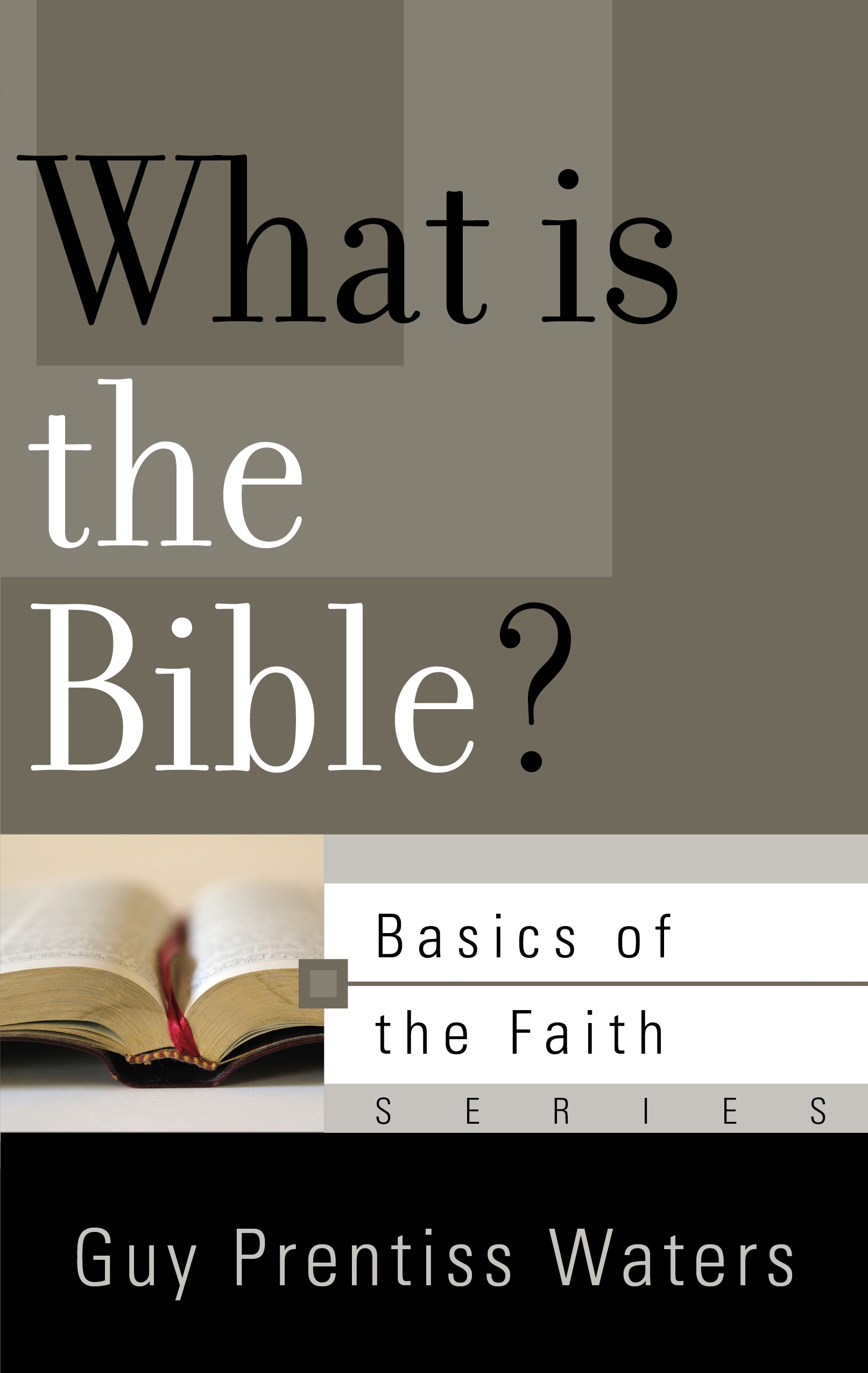What is the Bible? (Basics Of The Reformed Faith Series (Now Botf))
