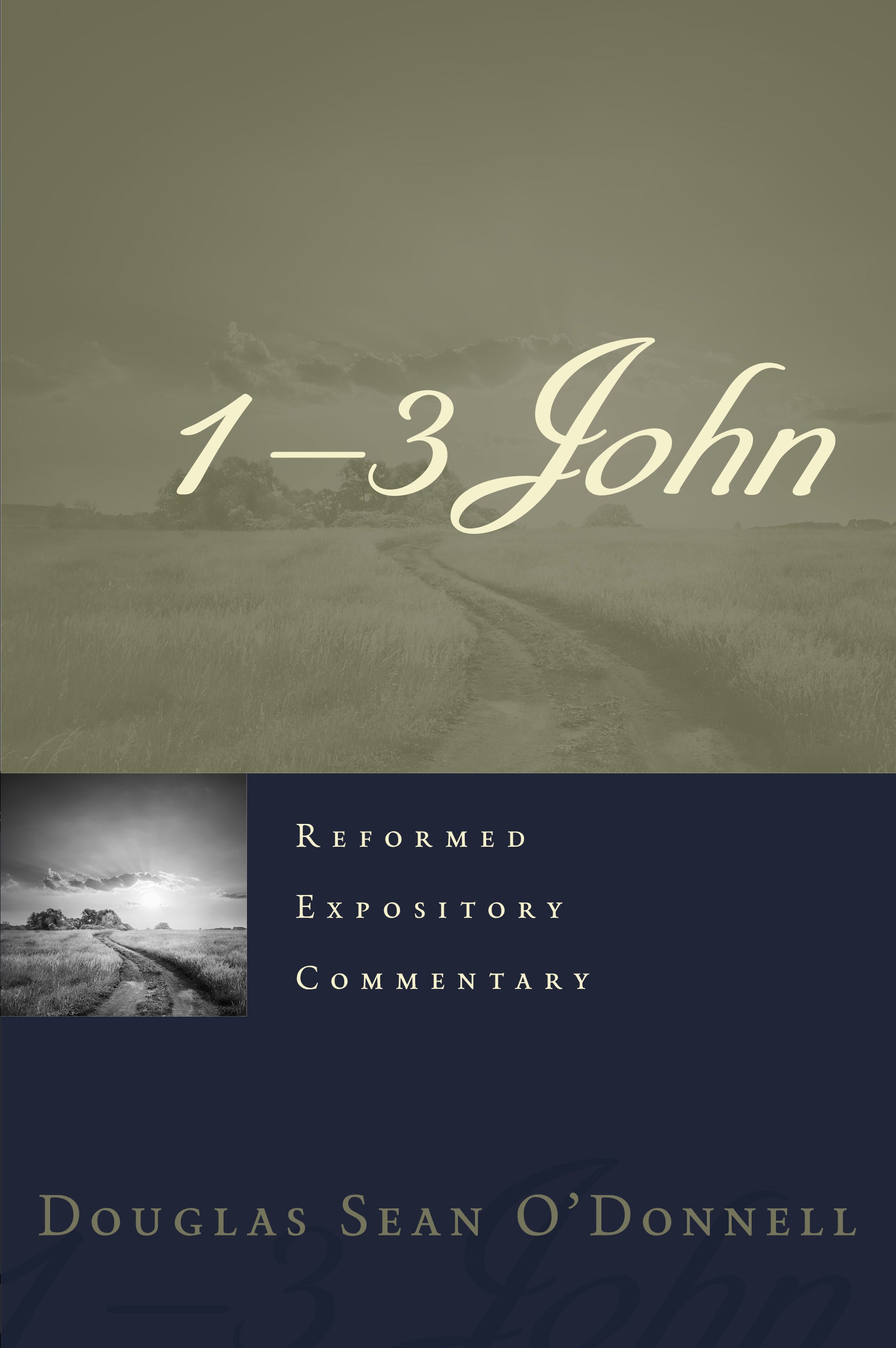 1-3 John (#20 in Reformed Expository Commentary Series)