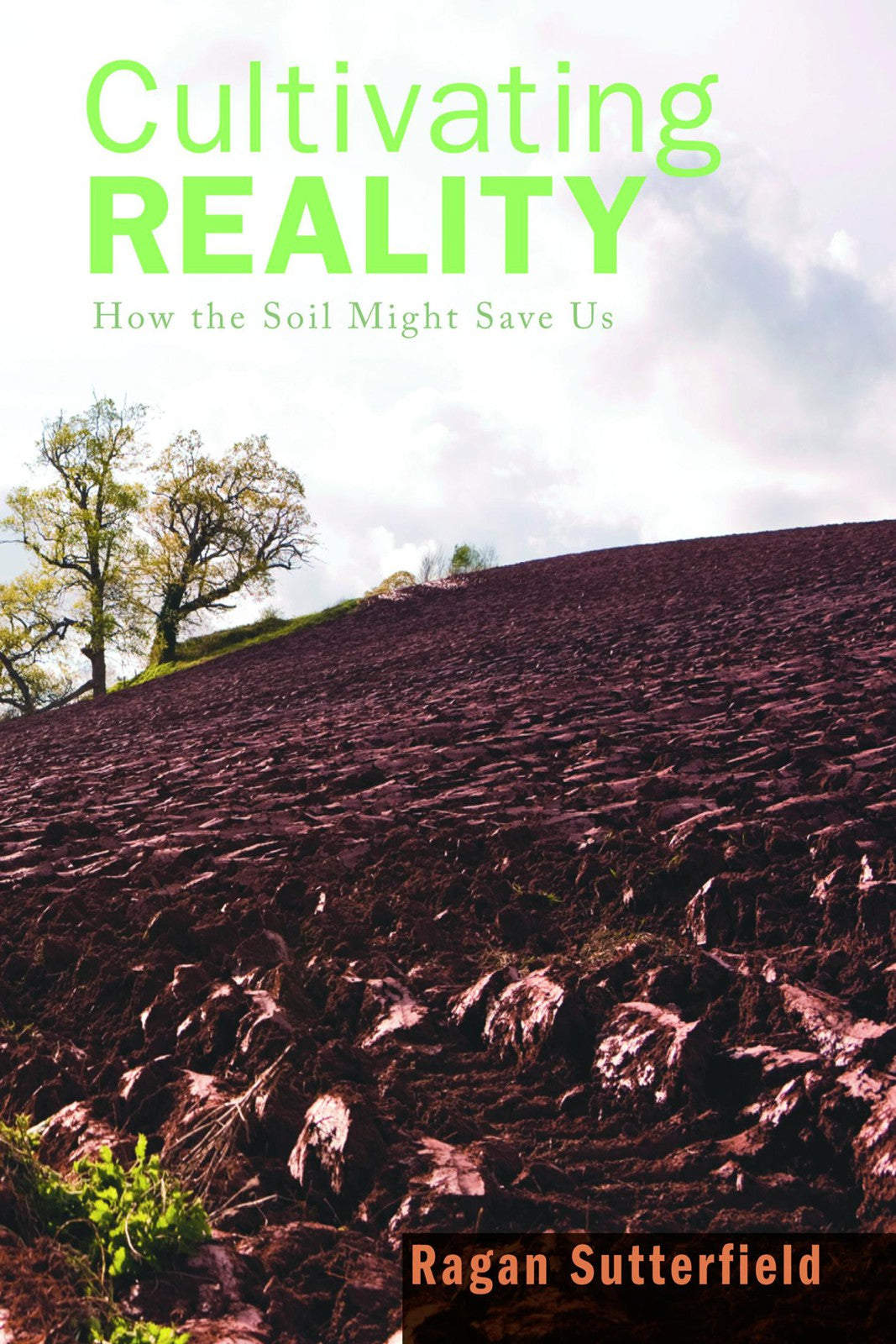Cultivating Reality