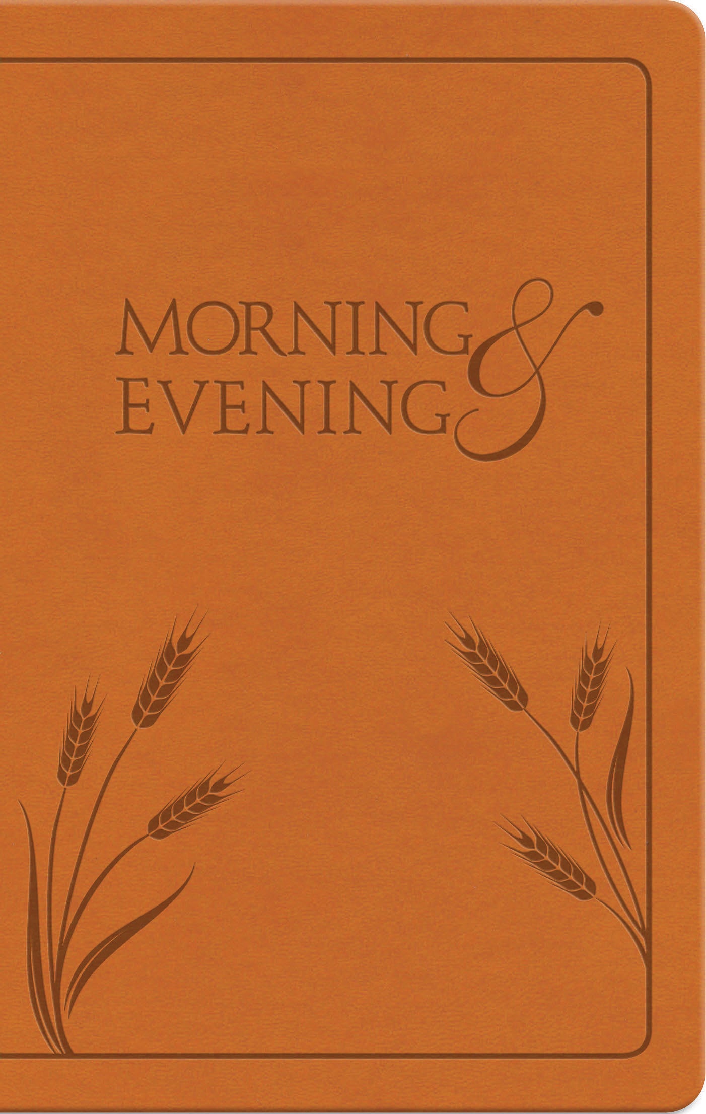 Morning & Evening: NIV Edition (Honey)