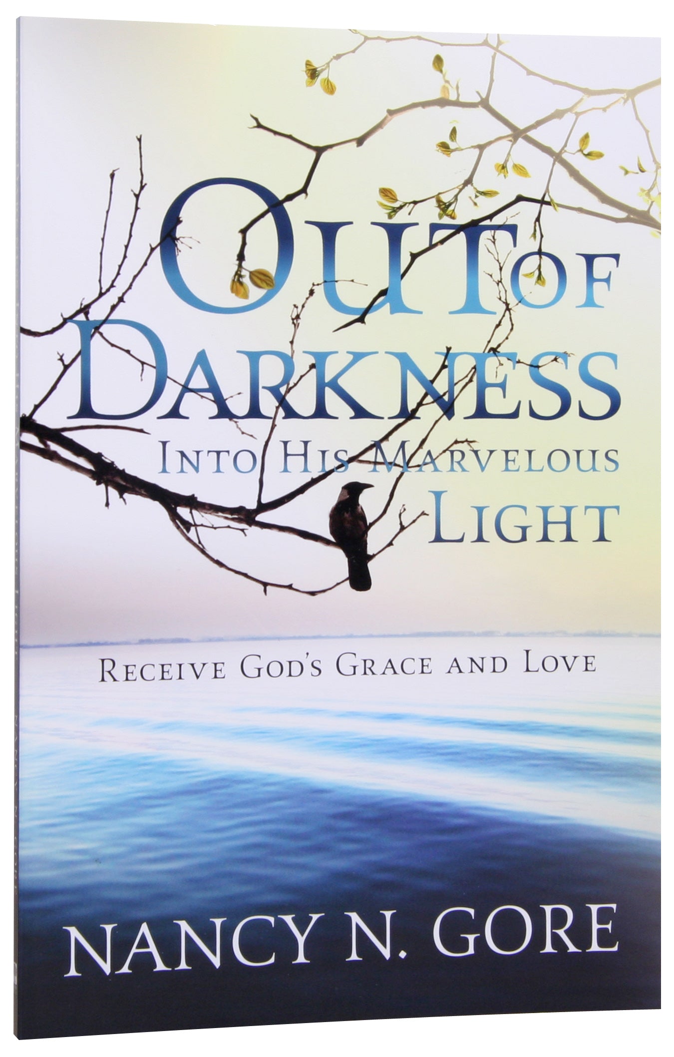 Out of Darkness Into His Marvelous Light