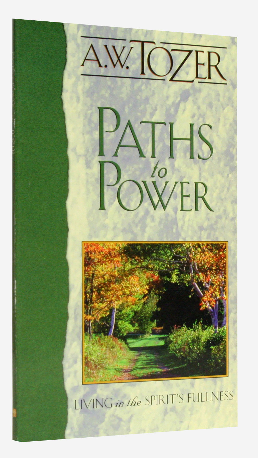 Paths to Power