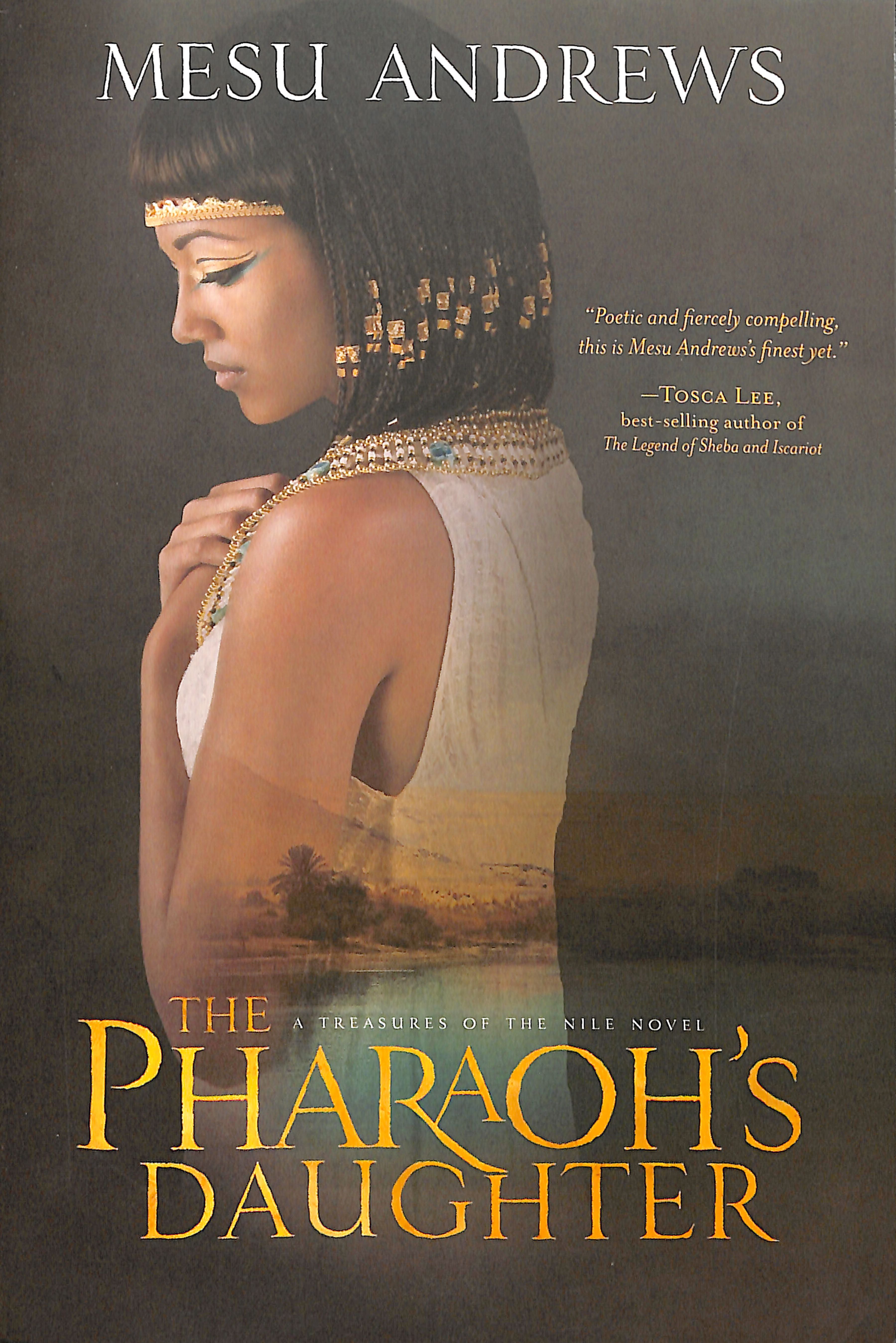 The Pharaoh's Daughter (Treasures Of The Nile Series)