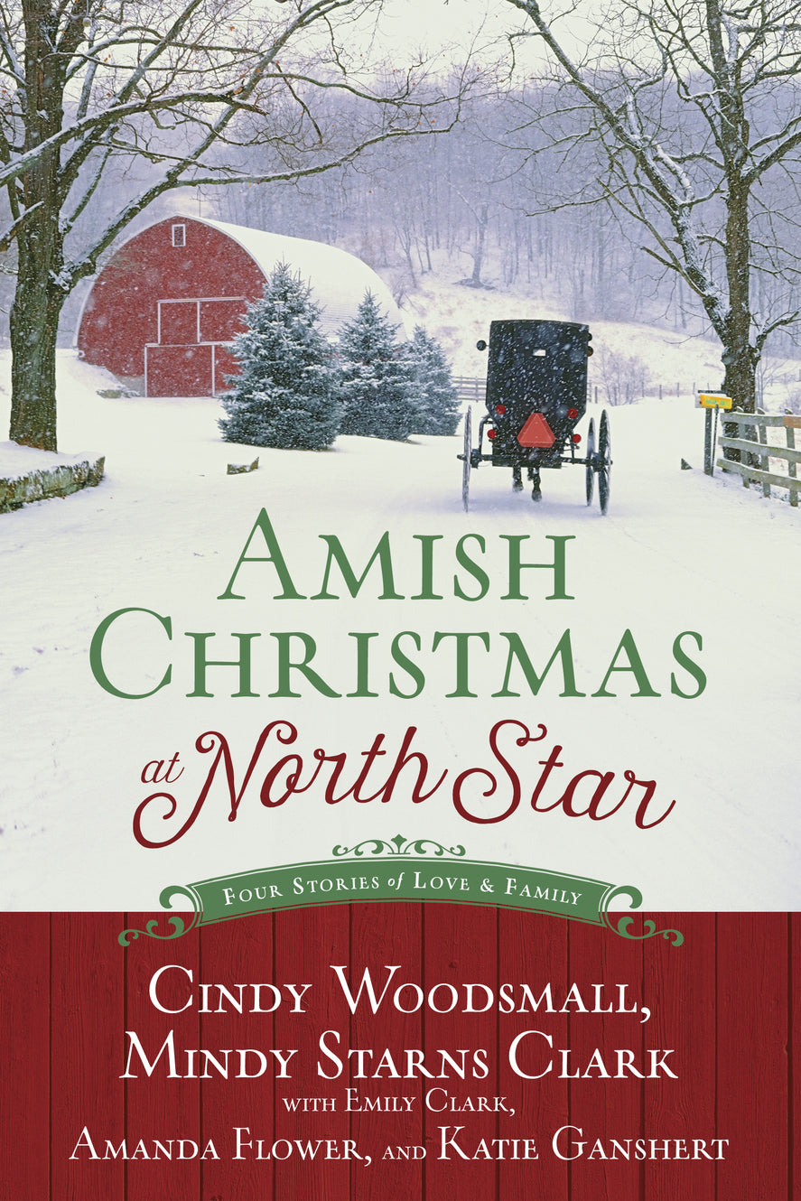4in1: Amish Christmas At North Star