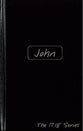 Journible 17: 18  John (The 17 18 Series)