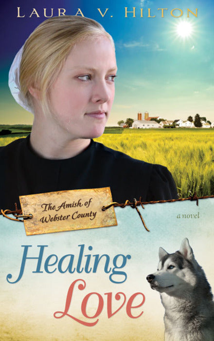 Healing Love (#01 in Amish Of Webster County Series)